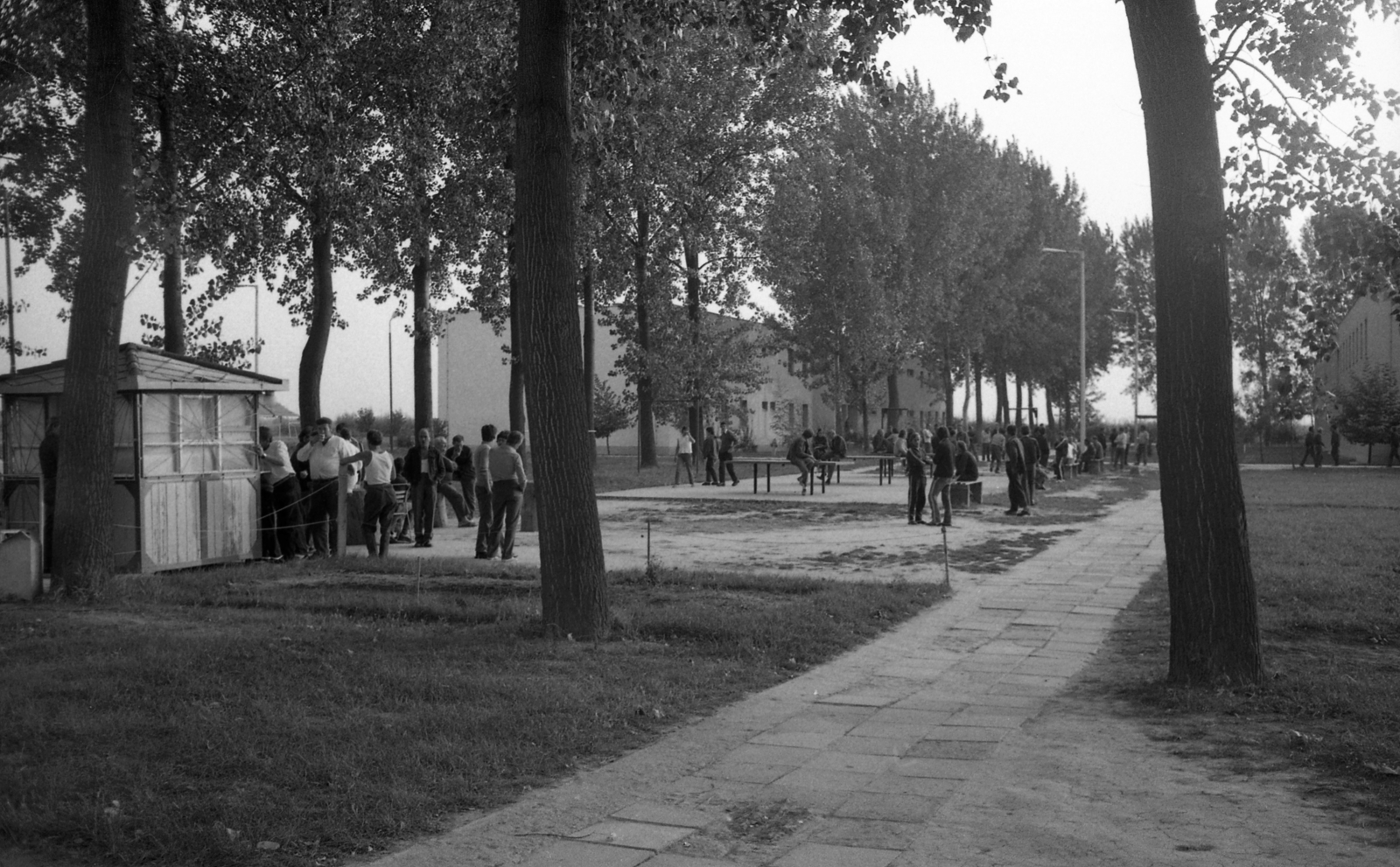 Hungary, Algyő, Nagyfa, Munkaterápiás Alkoholelvonó Intézetet., 1984, Urbán Tamás, Fortepan #126082