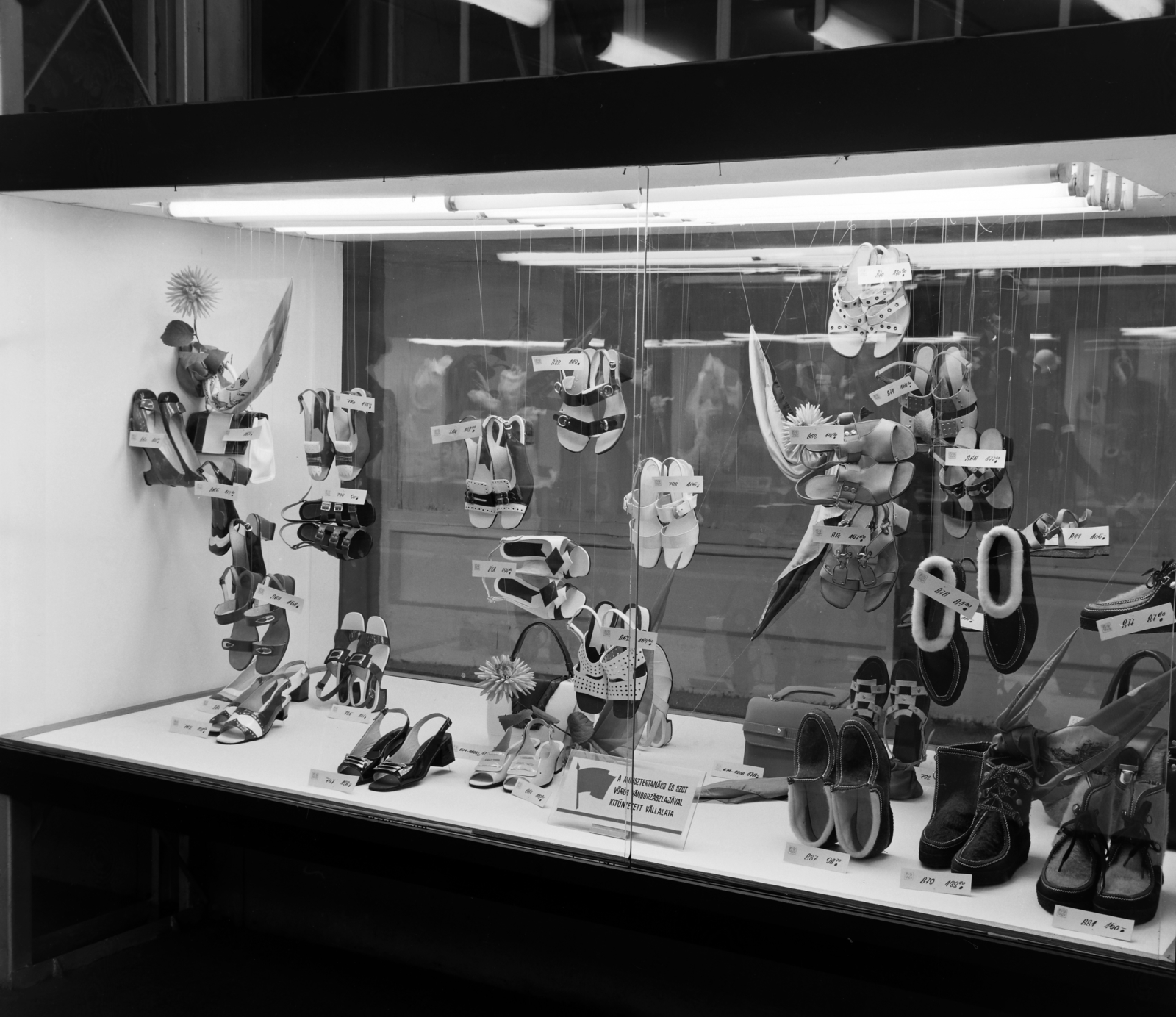 1969, Bauer Sándor, shoe, exhibition, product showcase, Fashion store, Fortepan #126265