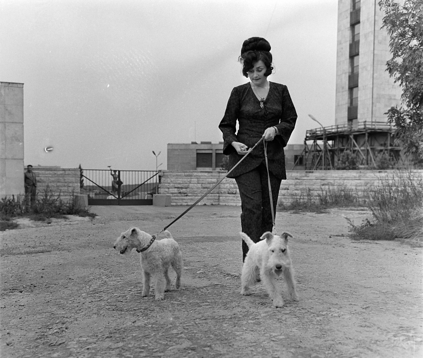 Hungary, untitled, Budapest XII., a Pipiske utca és a Csiz utca találkozása. A kapu mögött, a TV torony parkjában, a Galambos lány című szobor., 1967, Bauer Sándor, dog, Budapest, Fortepan #126302