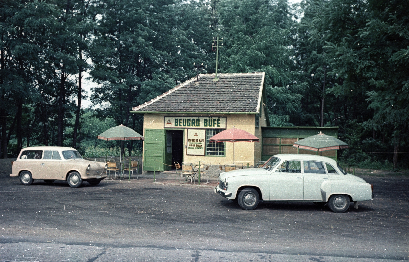 1960, Bauer Sándor, colorful, Trabant-brand, Wartburg-brand, buffet, Fortepan #127165