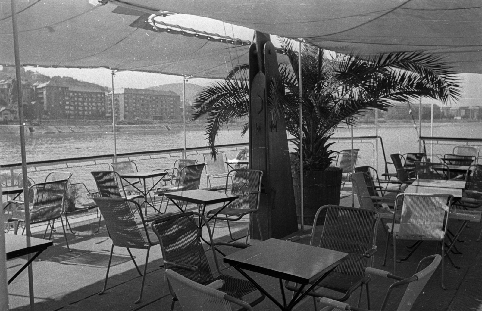 Hungary, Margit Islands, Budapest, SZOT Visegrád üdülőhajó a sziget budai oldalán, a Sportuszodánál kikötve. Szemben az Árpád fejedelem útja házai, köztük a Harcsa utca torkolata., 1960, Bauer Sándor, terrace, palm tree, Fortepan #127179