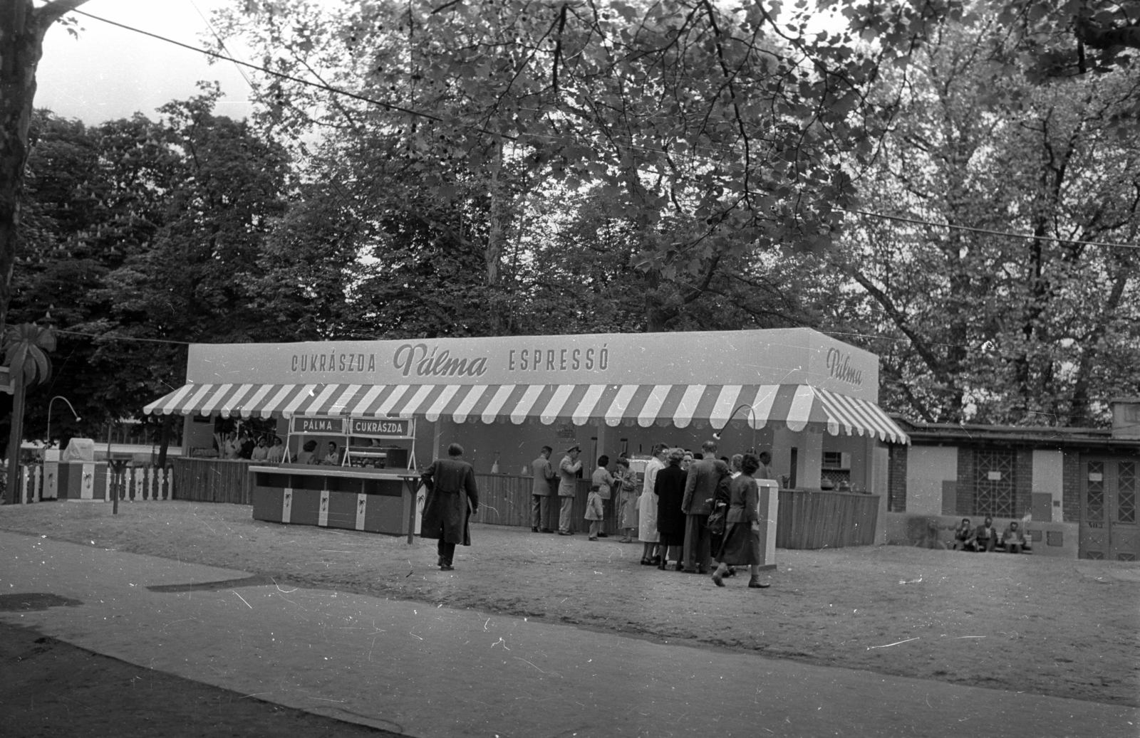 Hungary, Budapest XIV., Pálma cukrászda, eszpresszó., 1959, Bauer Sándor, Budapest, Fortepan #127297