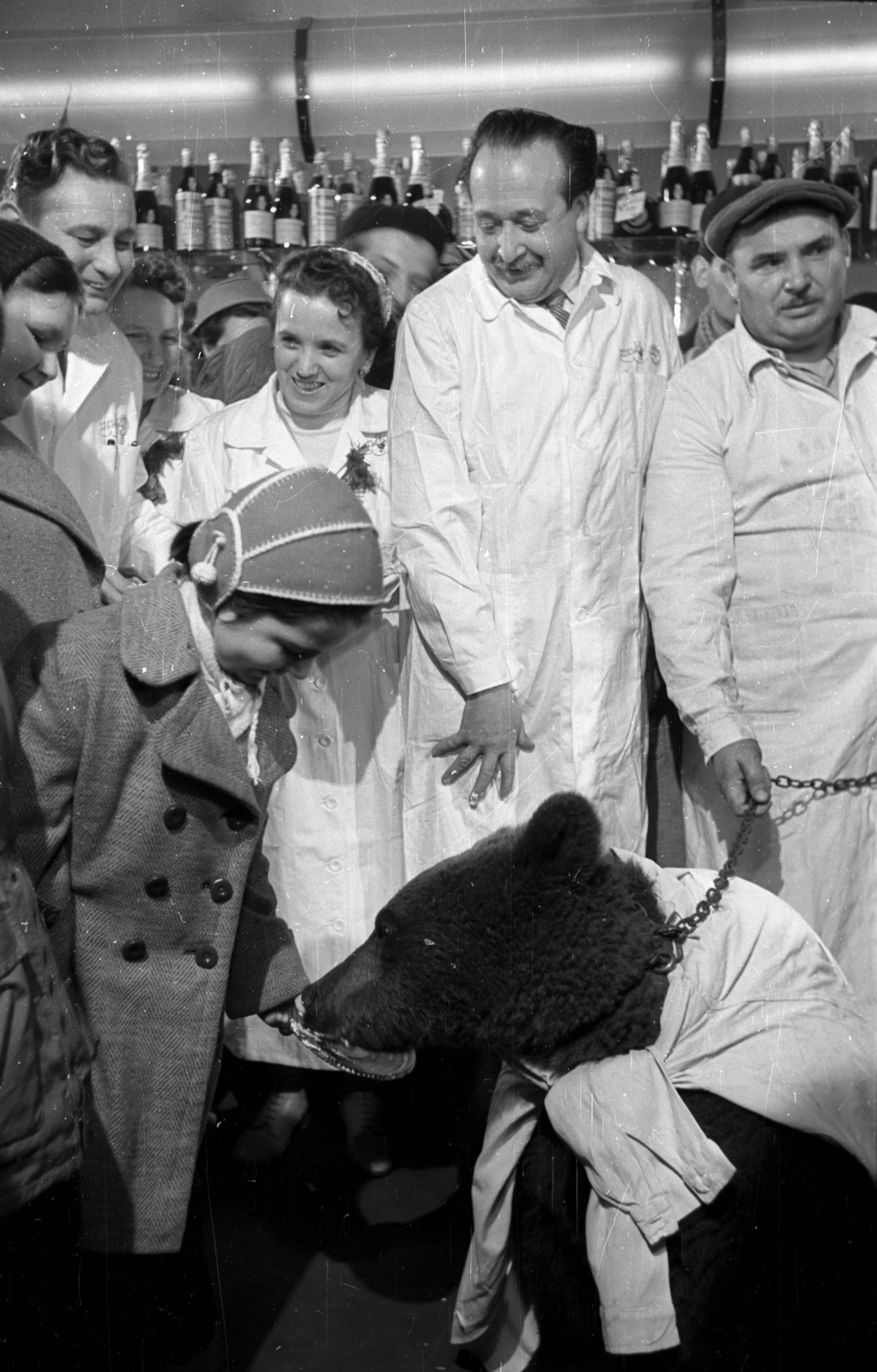 Hungary, Budapest V., Kígyó utca 4-6., Mézes Mackó büfé. Az üzlet fennállásának 3. évfordulója alkalmából "vendégül látták" az Állatkert mackóját. Tódor Géza üzletvezető és Huszár Sándor főápoló., 1958, Bauer Sándor, Budapest, girl, bear, Fortepan #127338