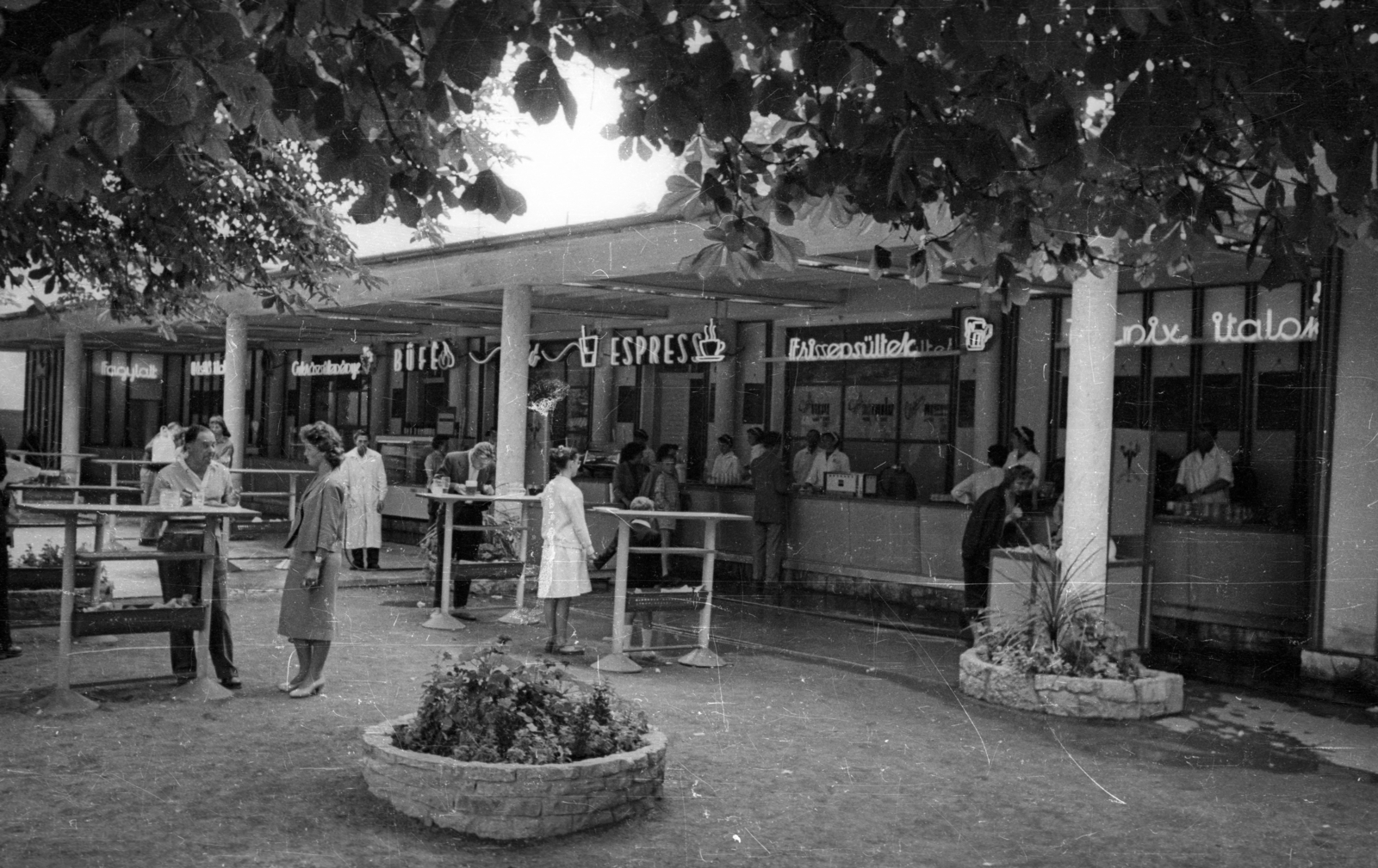 Hungary,Lake Balaton, Siófok, Kálmán Imre sétány, büfésor a vasútállomás mellett., 1959, Bauer Sándor, neon sign, Fortepan #127470