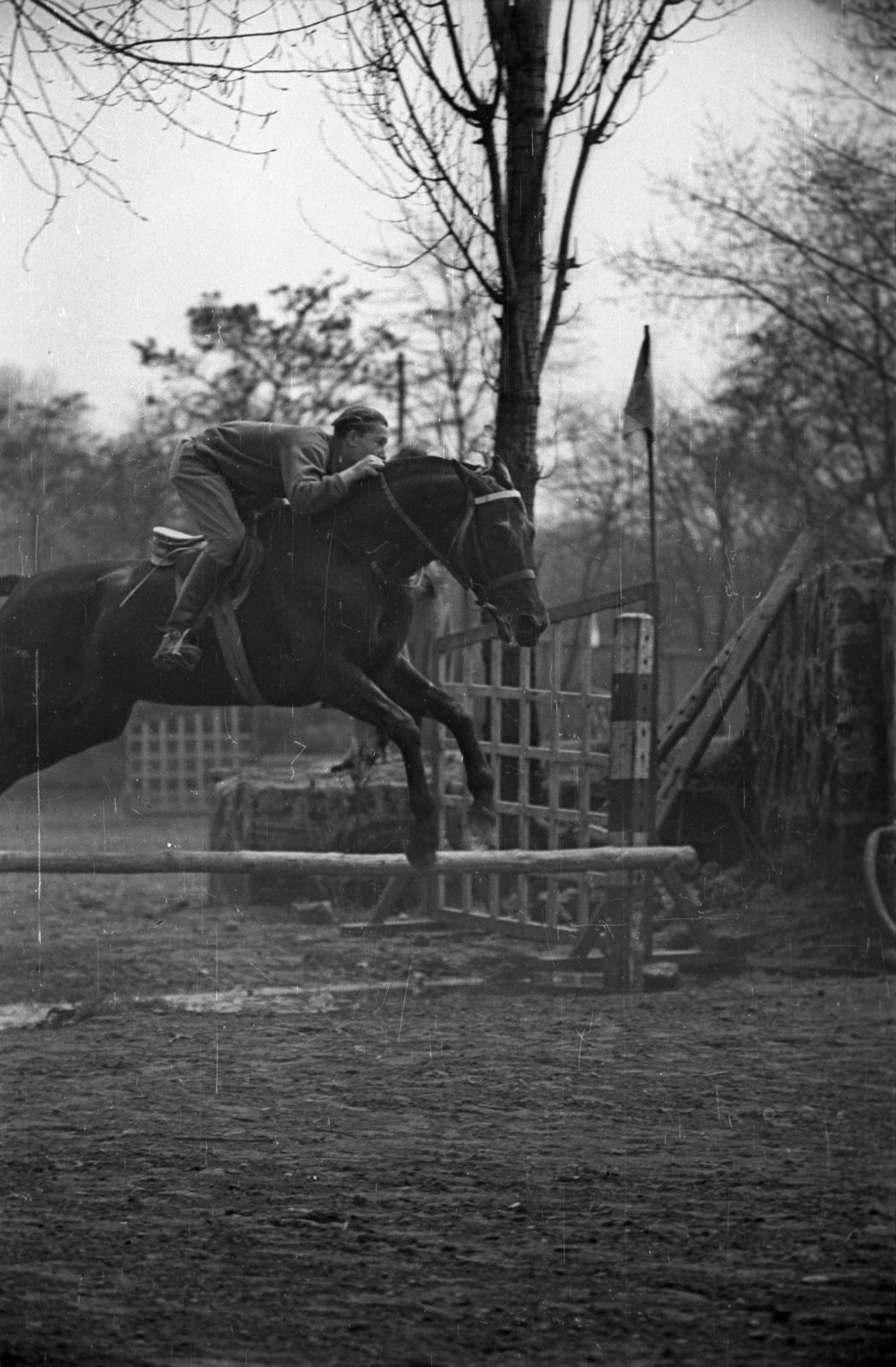 Hungary, Budapest VIII., Kerepesi út 7., Nemzeti Lovarda (Tattersall)., 1954, Bauer Sándor, equestrian sports, Budapest, Fortepan #127676