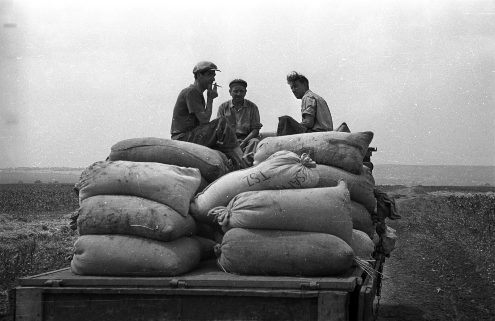 1955, Bauer Sándor, sack, Fortepan #127718