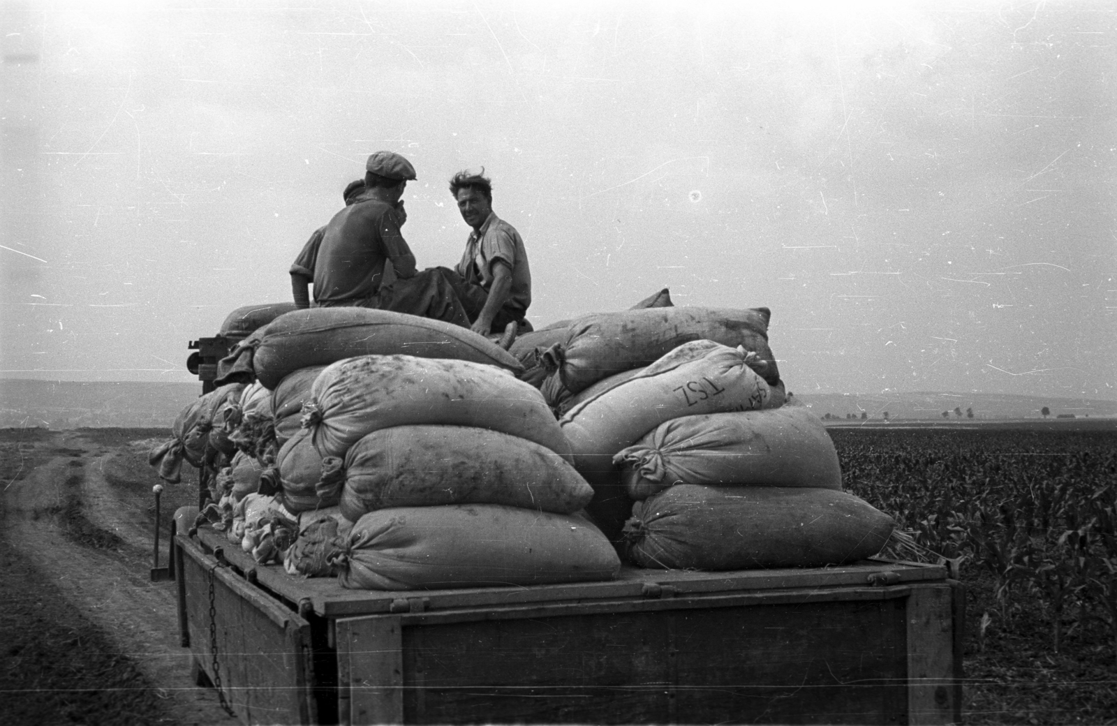 1955, Bauer Sándor, zsák, Fortepan #127719