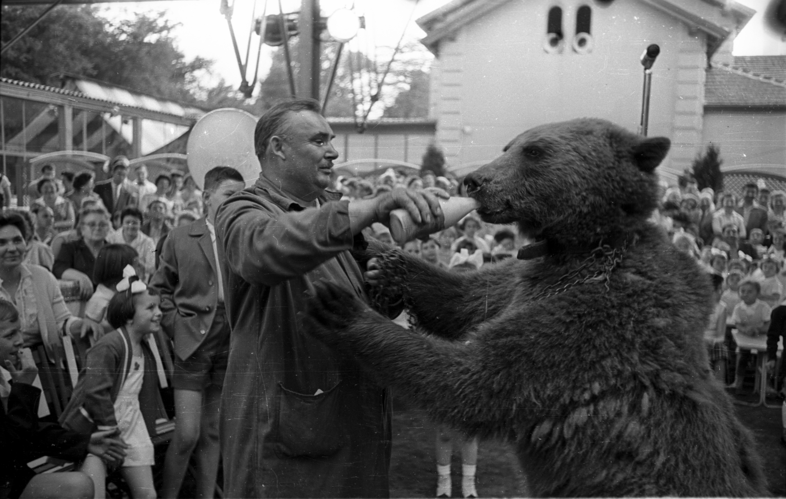 Hungary, Margit Islands, Budapest, gyermeknapi rendezvény a Casino kerthelyiségében., 1958, Bauer Sándor, bear, feeding, Fortepan #127813