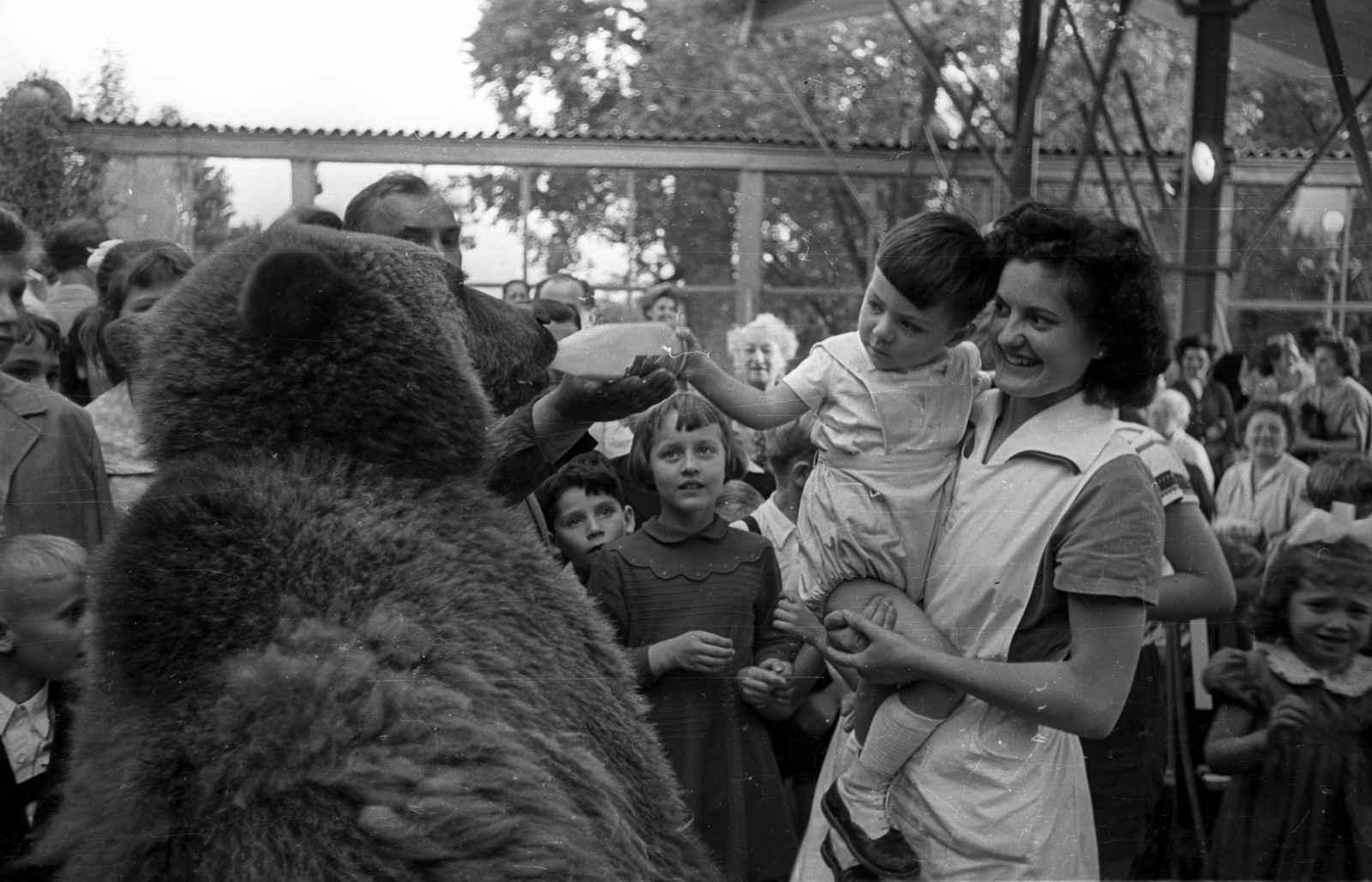 Hungary, Margit Islands, Budapest, gyermeknapi rendezvény a Casino kerthelyiségében., 1958, Bauer Sándor, bear, feeding, Fortepan #127816