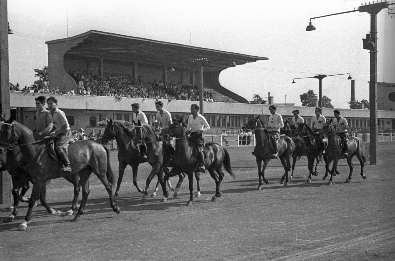 Hungary, Budapest VIII., Kerepesi út, Ügetőpálya., 1955, Bauer Sándor, equestrian sports, Budapest, Fortepan #127833