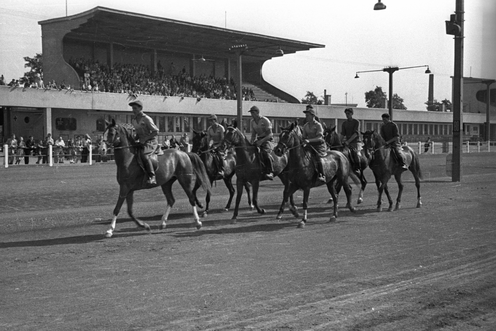 Hungary, Budapest VIII., Kerepesi út, Ügetőpálya., 1955, Bauer Sándor, equestrian sports, Budapest, Fortepan #127834