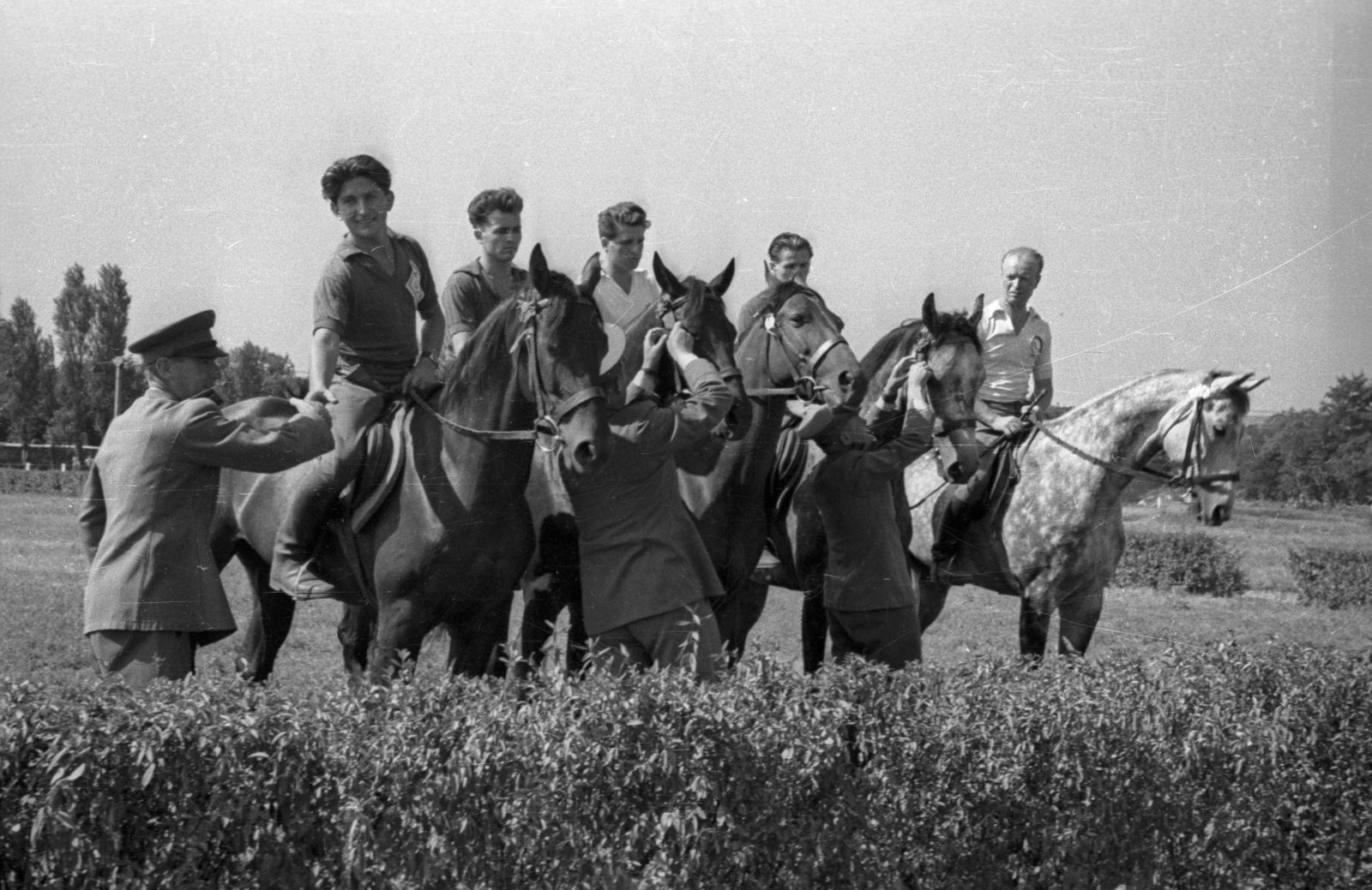 Hungary, Budapest VIII., Kerepesi út, Ügetőpálya., 1955, Bauer Sándor, equestrian sports, Budapest, Fortepan #127835