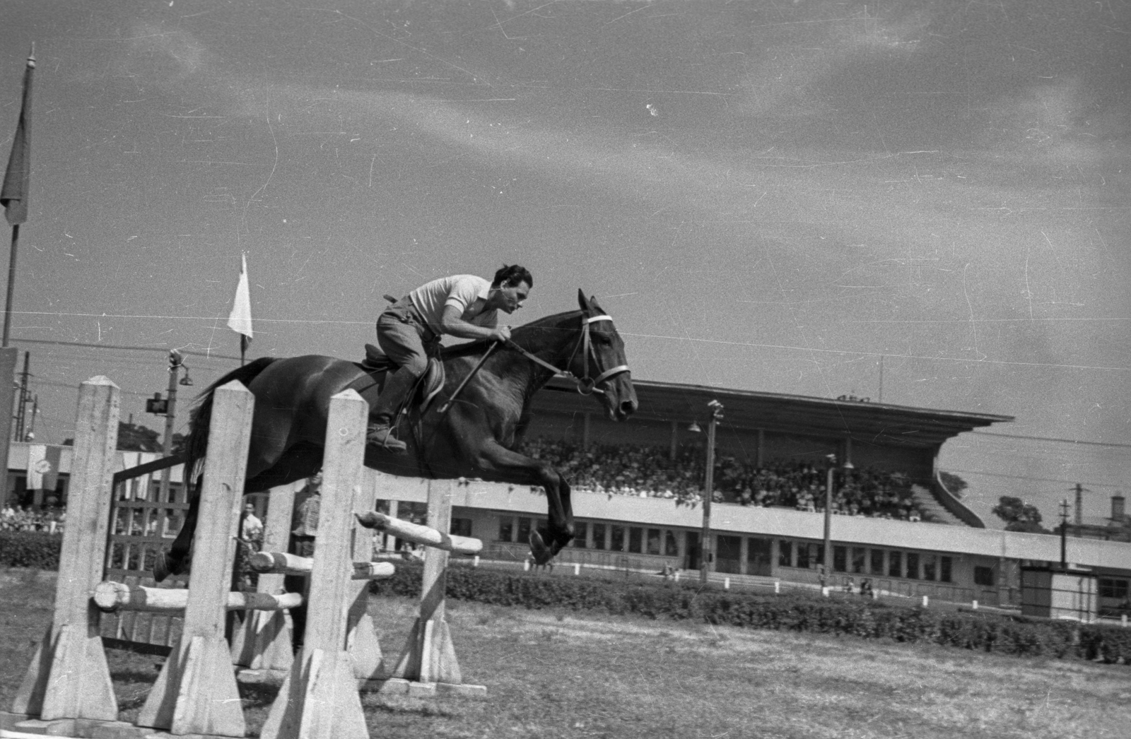 Hungary, Budapest VIII., Kerepesi út, Ügetőpálya., 1955, Bauer Sándor, equestrian sports, Budapest, floating mid-air, Fortepan #127839