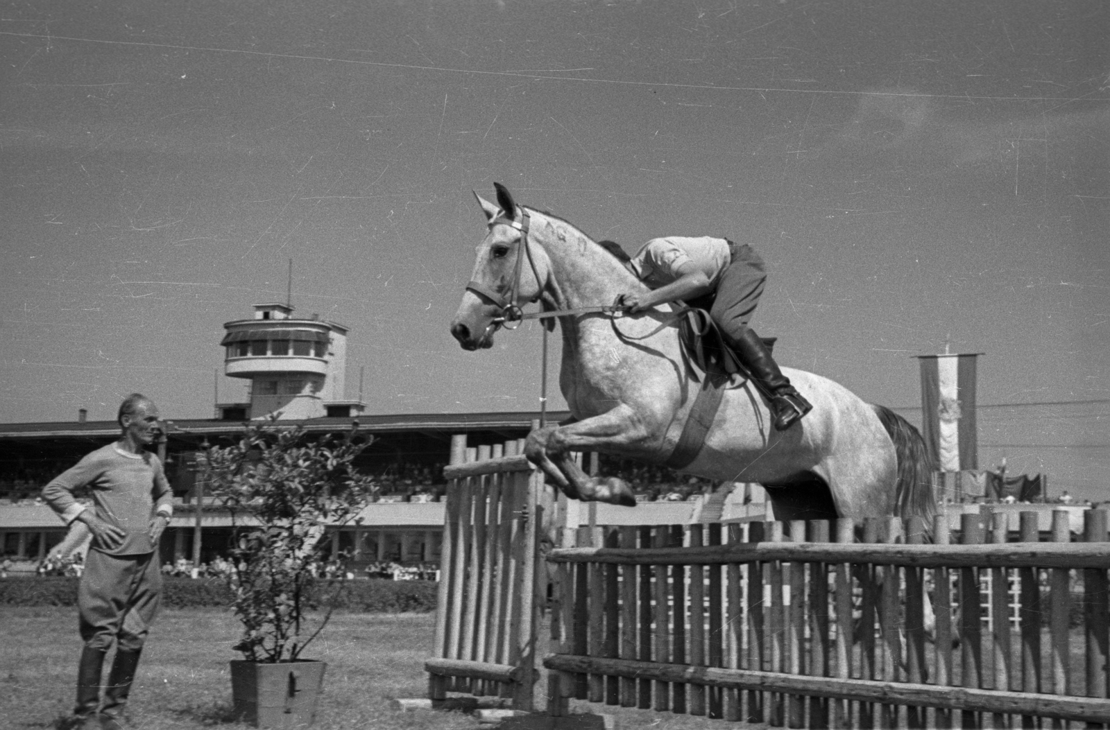 Hungary, Budapest VIII., Kerepesi út, Ügetőpálya., 1955, Bauer Sándor, equestrian sports, Budapest, Fortepan #127840