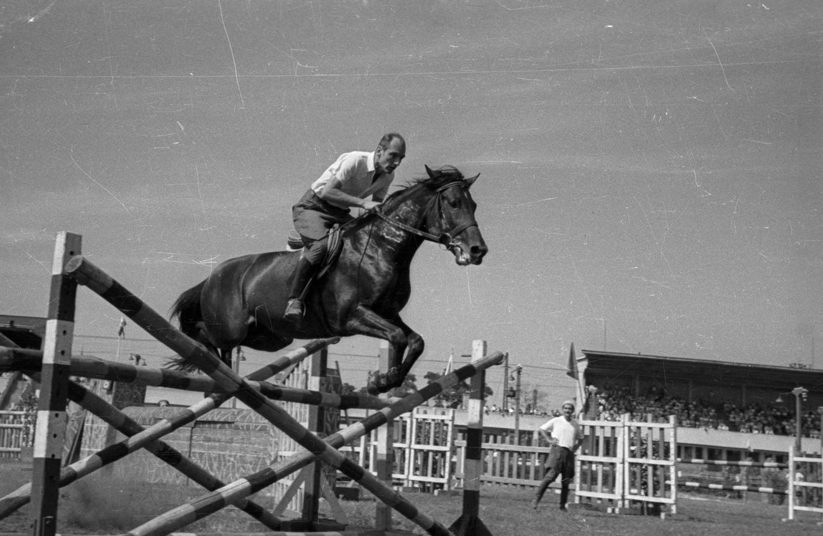 Hungary, Budapest VIII., Kerepesi út, Ügetőpálya., 1955, Bauer Sándor, equestrian sports, Budapest, Fortepan #127841