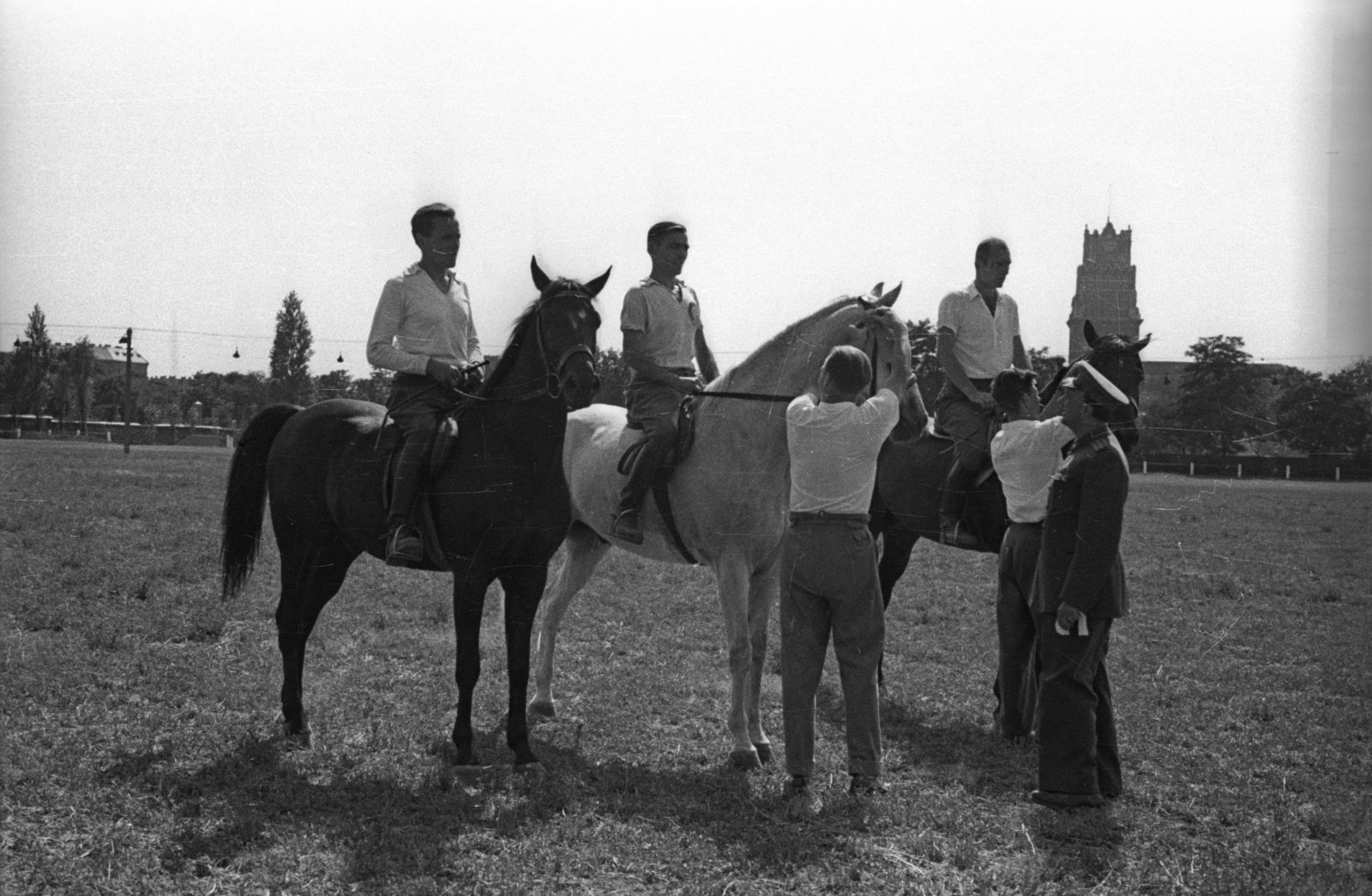 Hungary, Budapest VIII., Kerepesi út, Ügetőpálya, háttérben az OTI székház tornya., 1955, Bauer Sándor, equestrian sports, Budapest, Fortepan #127842