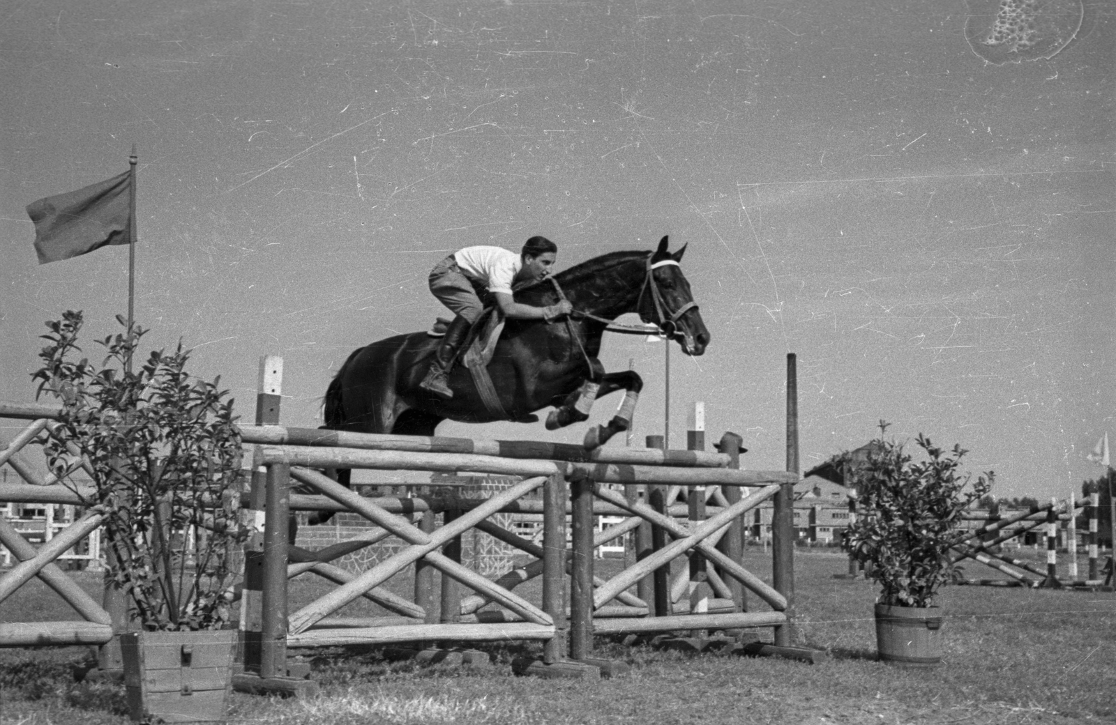 Hungary, Budapest VIII., Kerepesi út, Ügetőpálya., 1955, Bauer Sándor, equestrian sports, Budapest, floating mid-air, Fortepan #127844