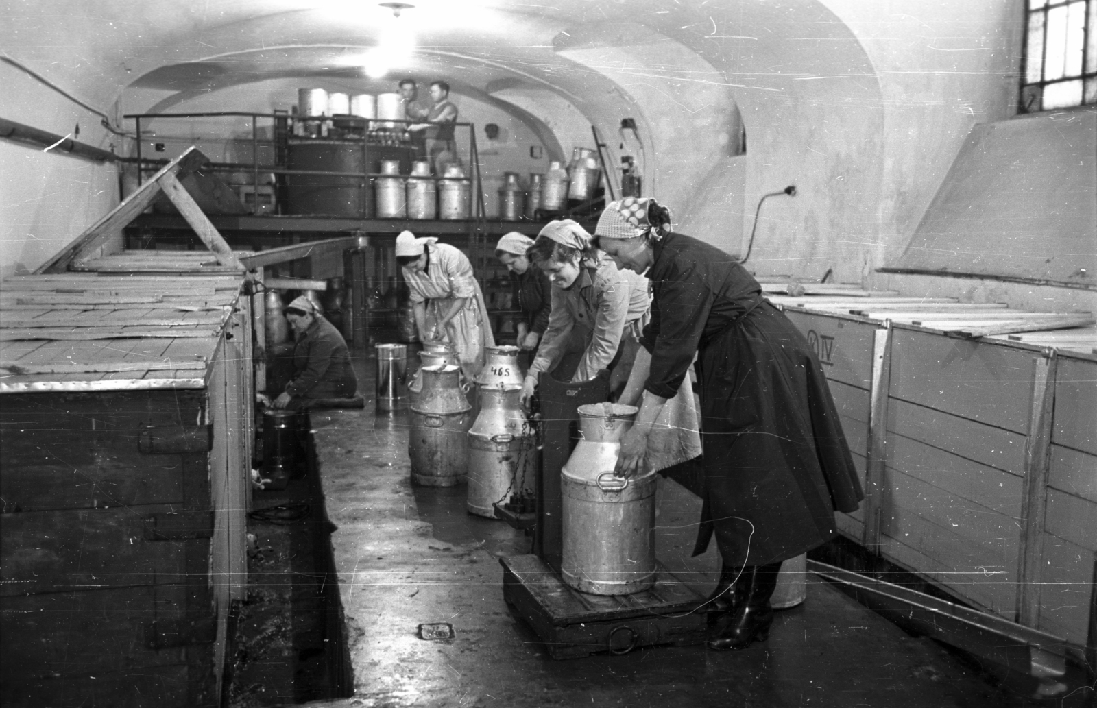 Magyarország, Budapest IX., Bakáts utca 8., Országos Méhészeti Szövetkezeti Vállalat., 1956, Bauer Sándor, Budapest, munkaköpeny, nők, fejkendő, tejeskanna, Fortepan #127889
