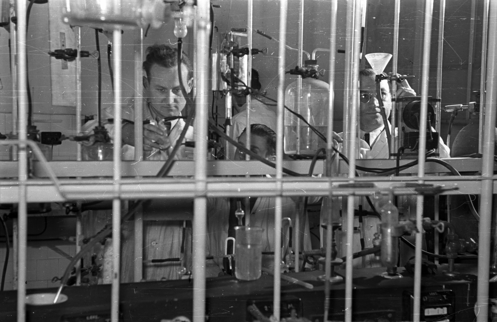 1956, Bauer Sándor, laboratory, Fortepan #127950