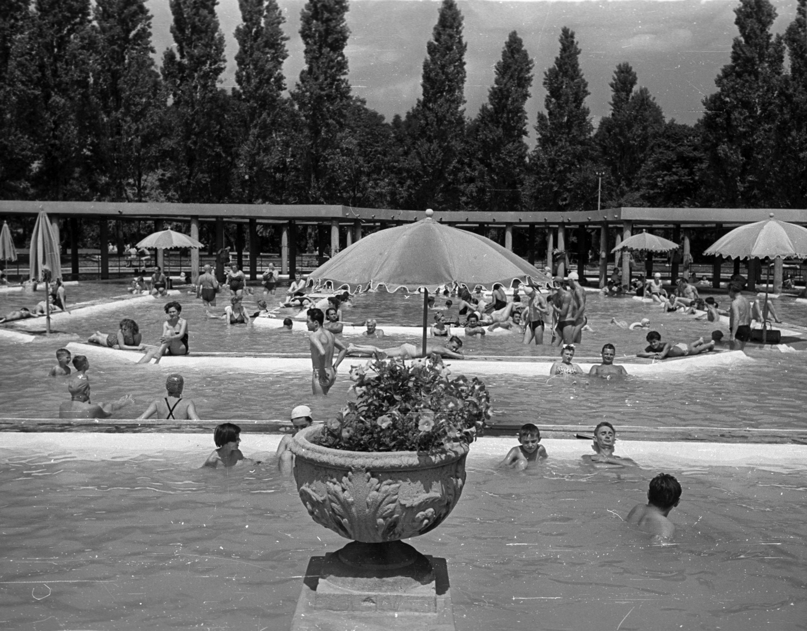 Magyarország, Margitsziget, Budapest, Palatinus Strandfürdő., 1957, Bauer Sándor, napernyő, medence, virágtartó, Fortepan #128045