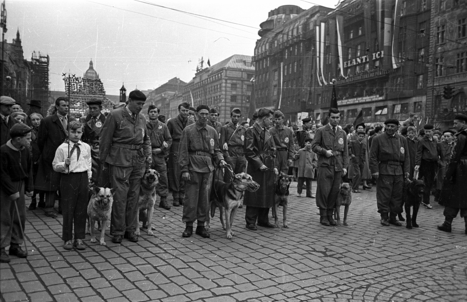 Czech Republik, Prague, Vencel tér (Václavské námestí), háttérben a Nemzeti Múzeum. Május 1-i felvonulás., 1956, Bauer Sándor, uniform, dog, German shepherd, Fortepan #128186
