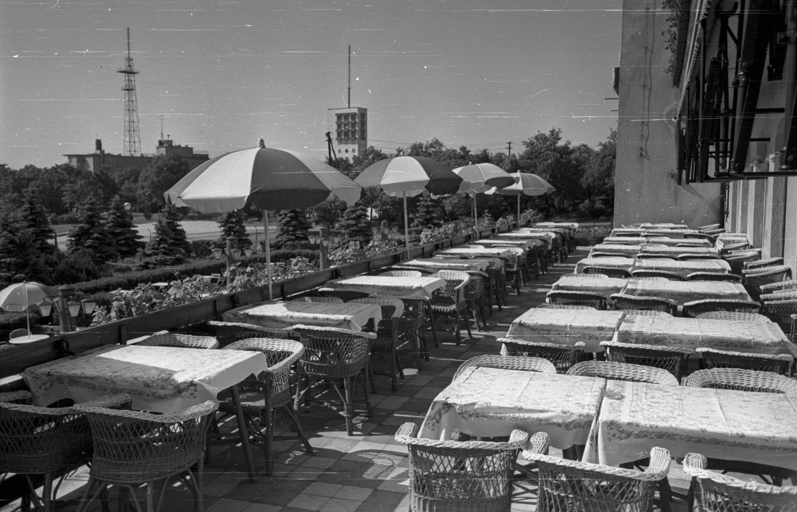 Hungary, untitled, Budapest XII., Rege utca, Vörös Csillag (egykor Golf, később Panoráma) szálloda, terasz., 1959, Bauer Sándor, Budapest, sunshades, wicker chair, Fortepan #128201