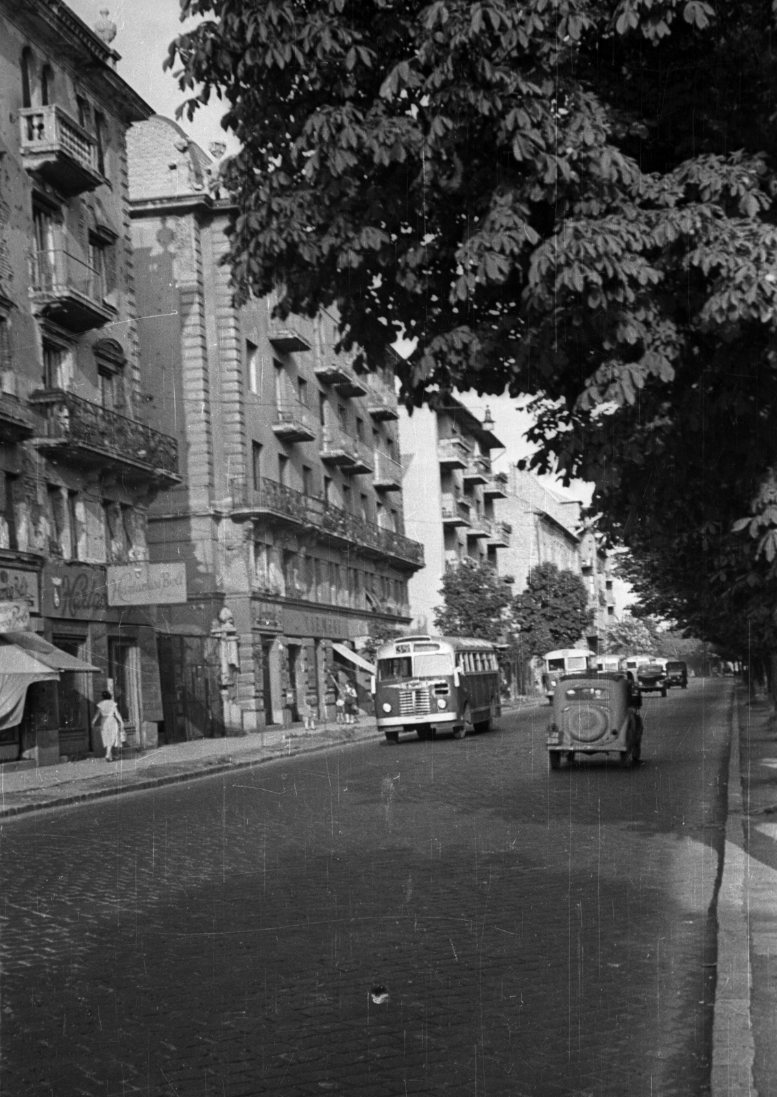 Hungary, Budapest II., Szilágyi Erzsébet (Malinovszkij) fasor a Fogaskerekű végállomásától a Széll Kálmán (Moszkva) tér felé nézve., 1959, Bauer Sándor, Budapest, Fortepan #128217