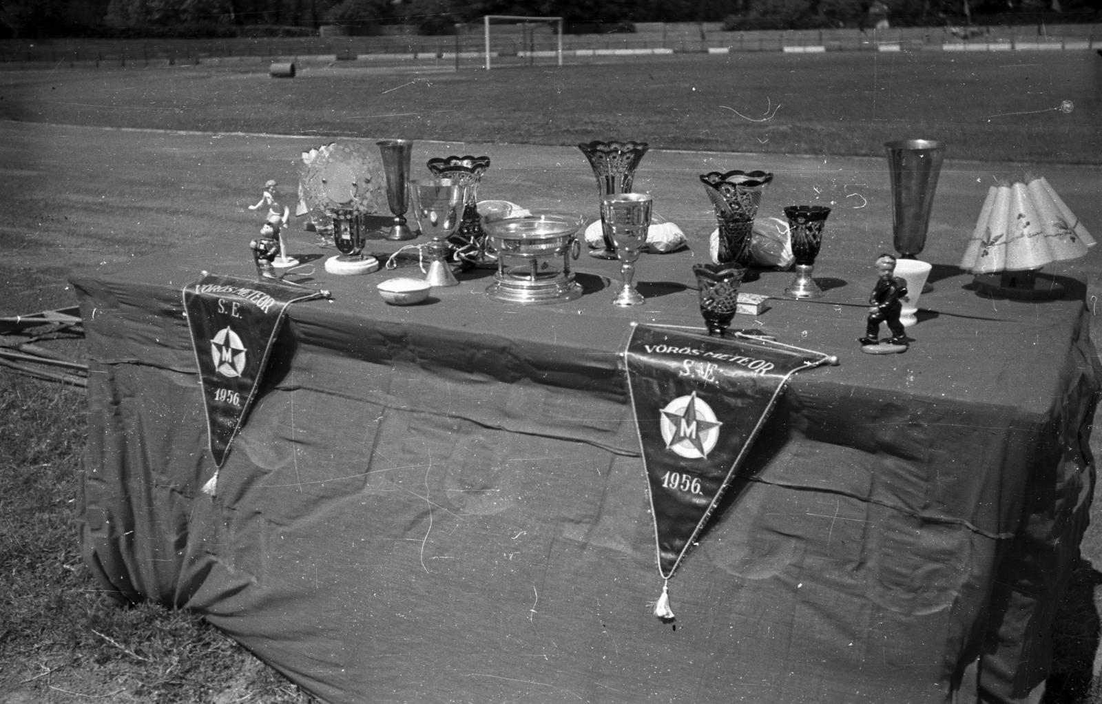 Hungary, People's Park, Budapest X., Építők pálya., 1956, Bauer Sándor, cup, Budapest, Fortepan #128251