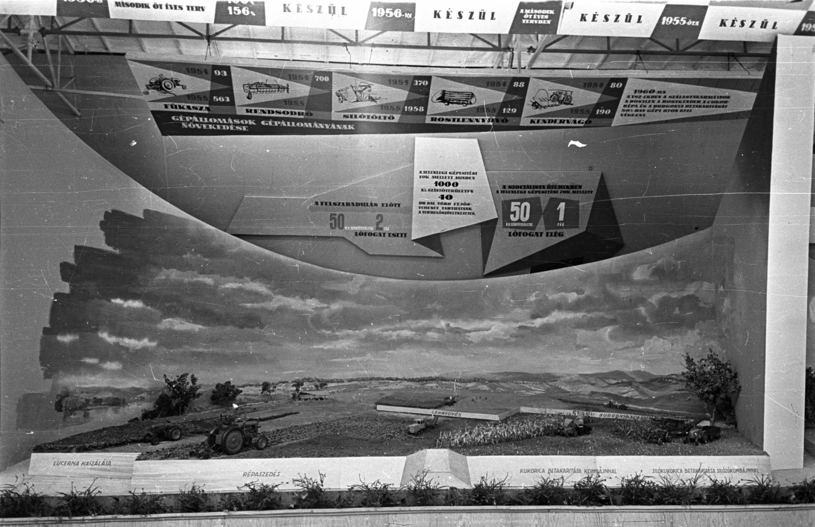 Hungary, Budapest X., Albertirsai úti vásár területe, Országos Mezőgazdasági Kiállítás és Vásár., 1958, Bauer Sándor, model, Budapest, Fortepan #128258