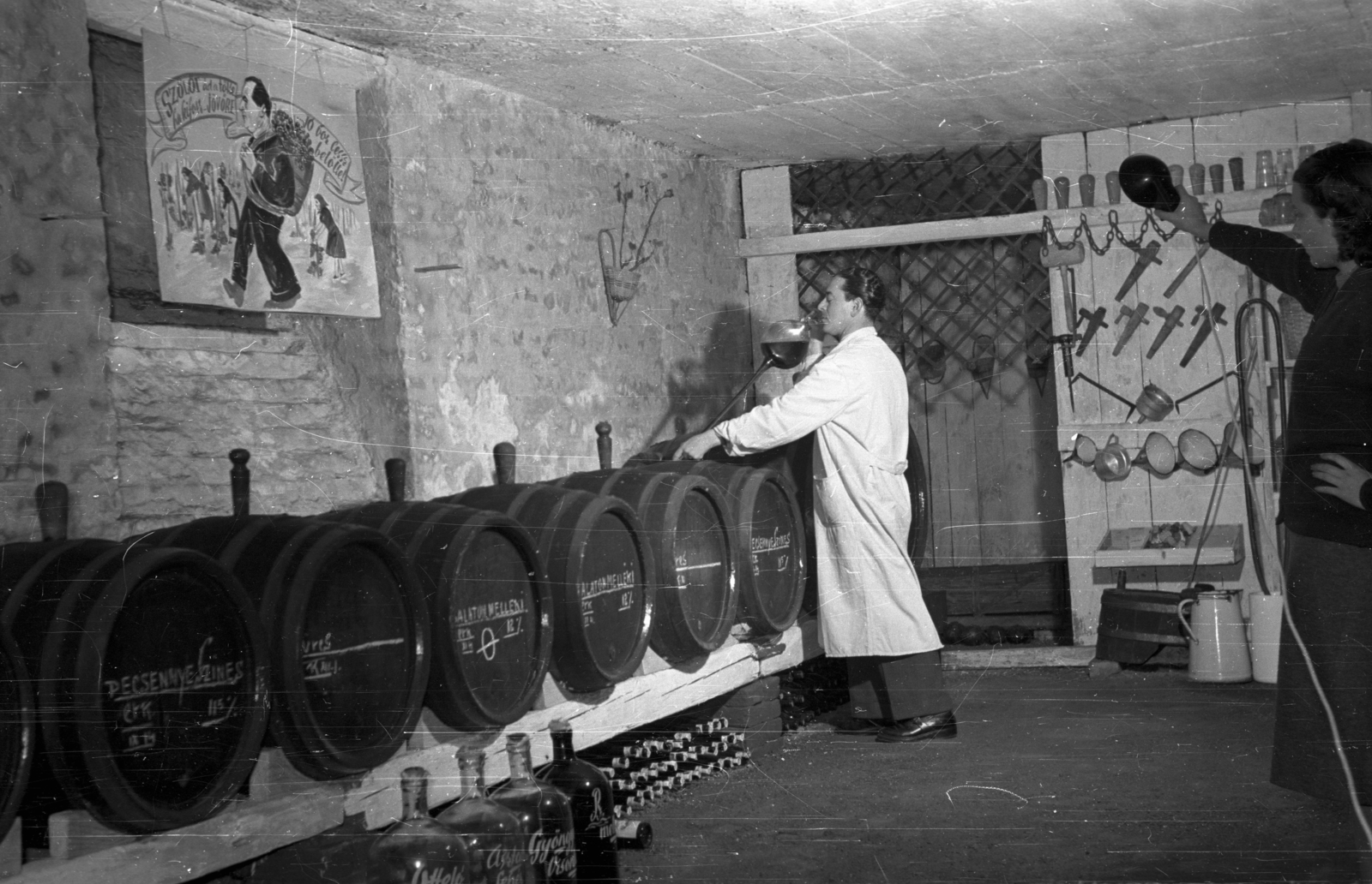 1955, Bauer Sándor, winery, barrel, wine thief, Fortepan #128286