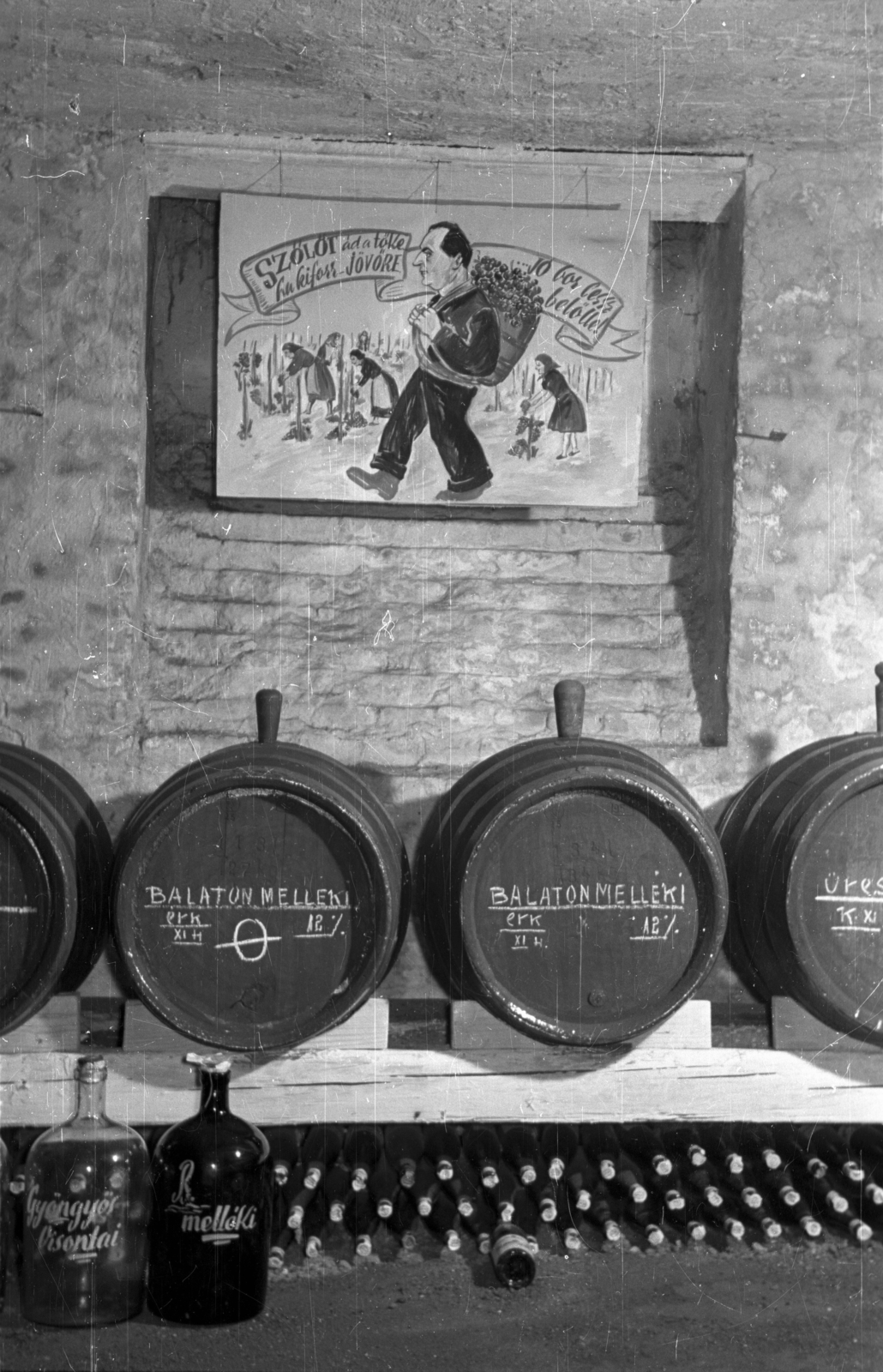 1955, Bauer Sándor, winery, barrel, Fortepan #128288