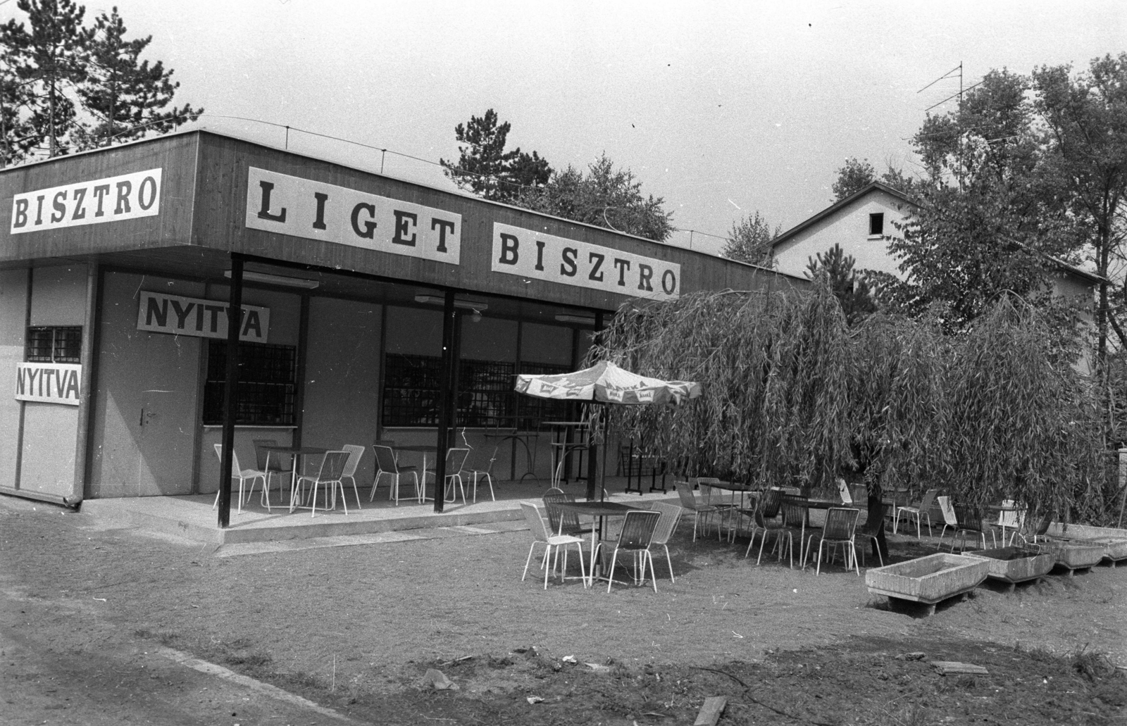 Hungary,Lake Balaton, Fonyód, Fonyódliget, Damjanich utca, Liget bisztró., 1979, Bauer Sándor, buffet, Fortepan #128306