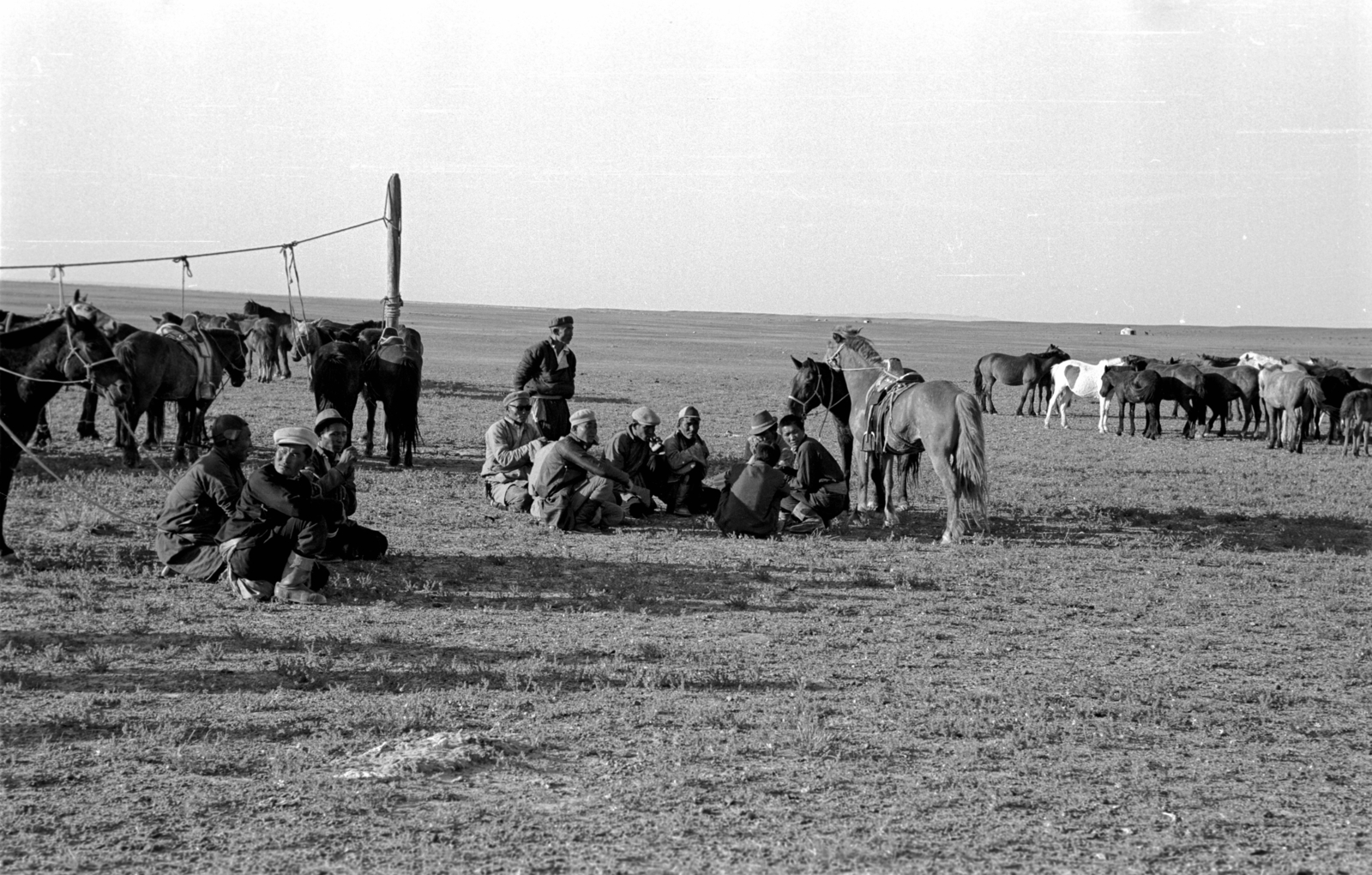 Mongolia, 1969, Bagi Gábor, Bagi Róbert, horse, Fortepan #128597