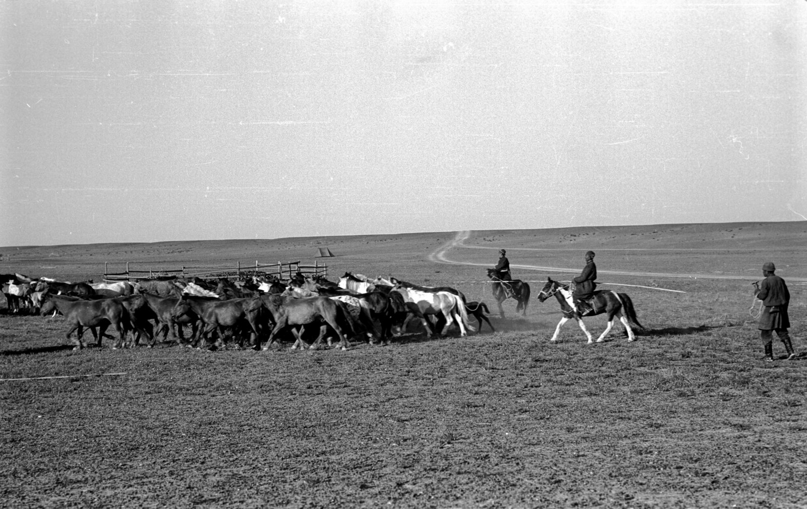 Mongólia, 1969, Bagi Gábor, Bagi Róbert, ló, lovas, Fortepan #128598