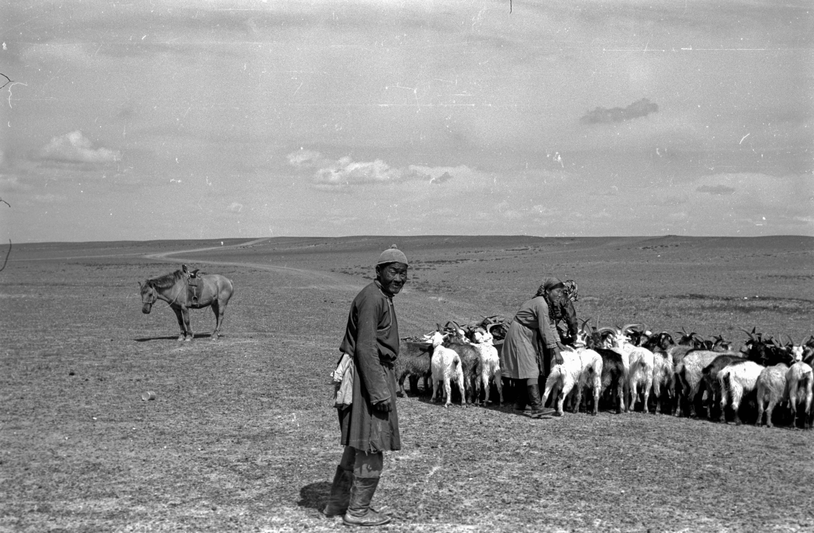 Mongólia, 1969, Bagi Gábor, Bagi Róbert, ló, kecske, Fortepan #128607