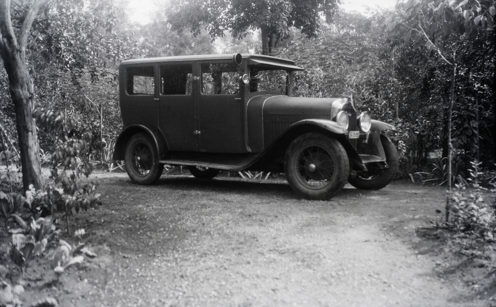 1929, Horváth Miklós dr, automobile, Fortepan #129261