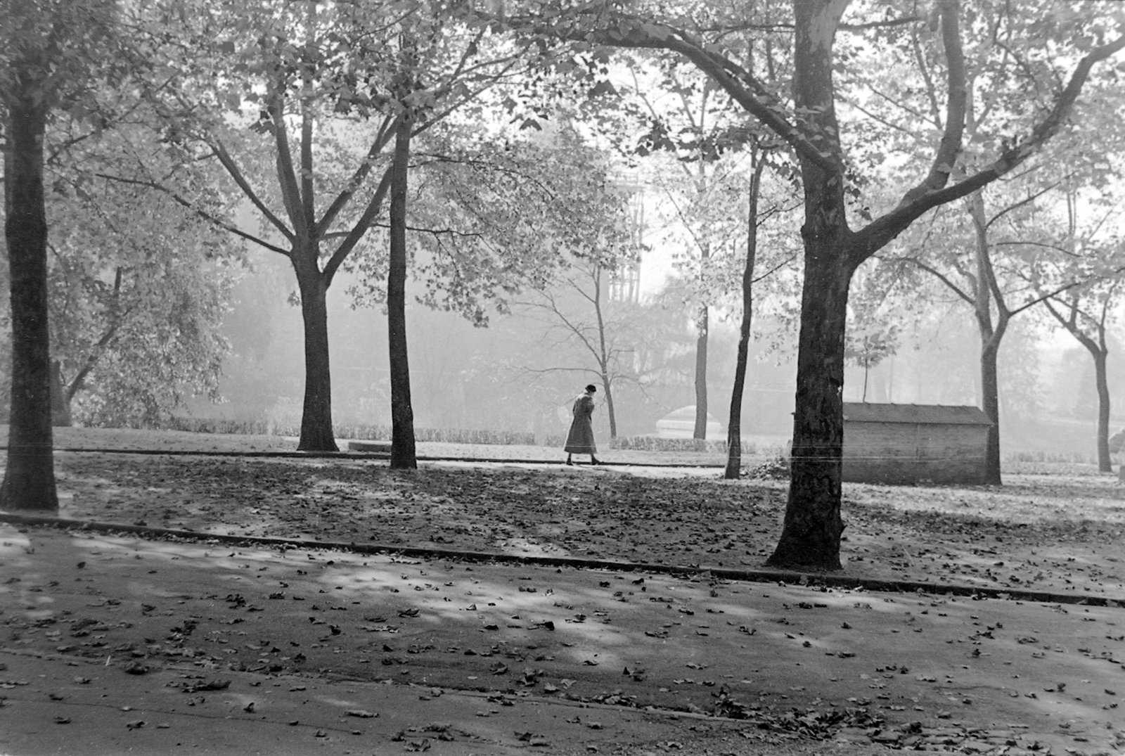 Magyarország, Városliget, Budapest XIV., Vajdahunyad vára., 1957, Szent-tamási Mihály, ősz, avar, Budapest, Fortepan #12930