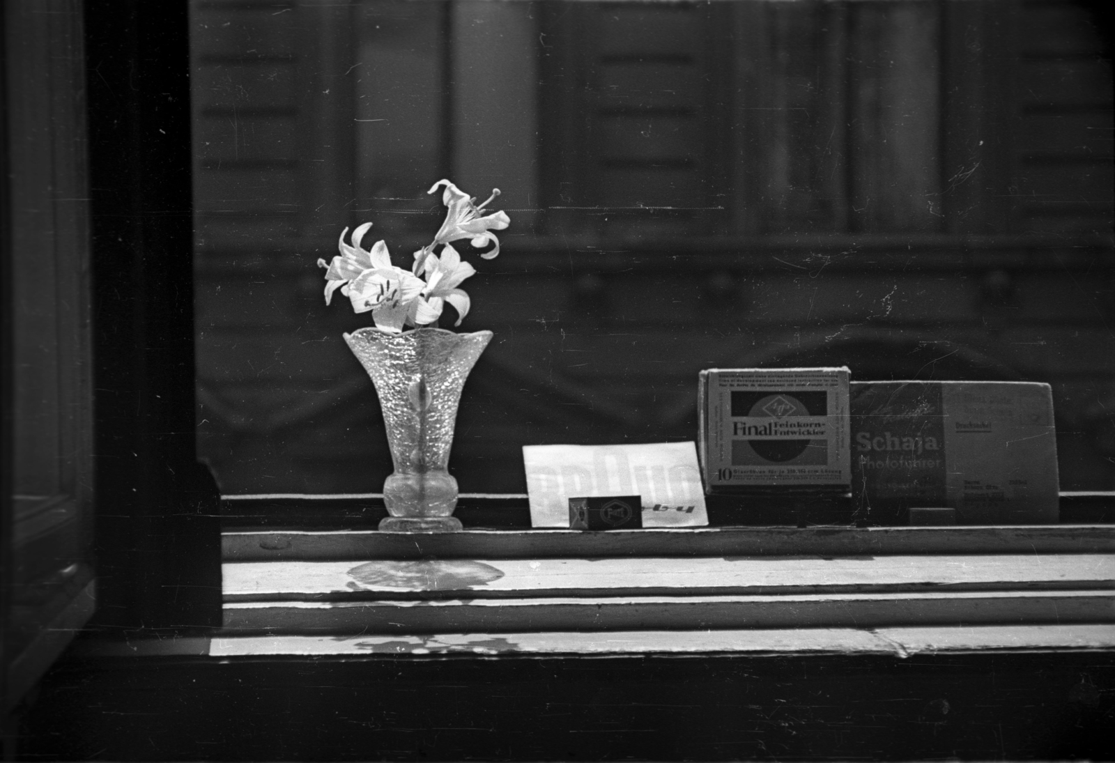 Hungary, Budapest XIII., a felvétel a Hegedűs Gyula utca 4. számú ház egyik I. emeleti lakásában készült, az ablakon át a Hegedűs Gyula utca 7. számú házra látni., 1955, Horváth Miklós dr, Agfa-brand, Forte-brand, Budapest, lily, vase, still life, Fortepan #129351