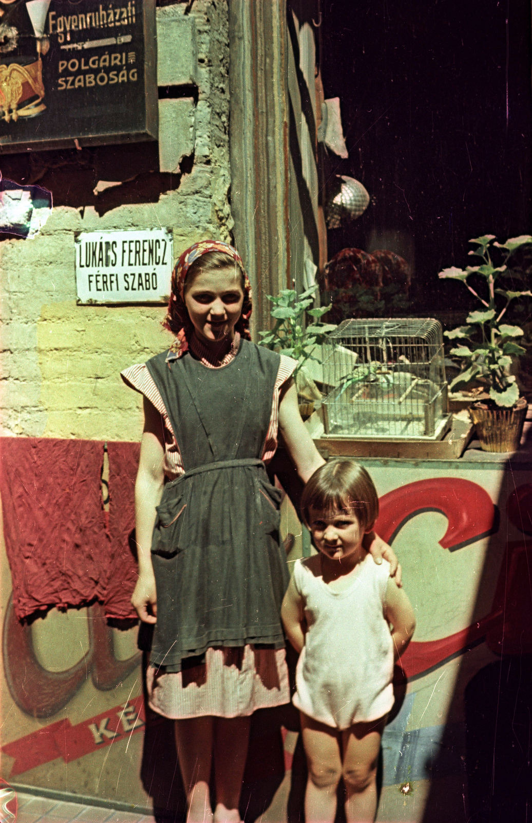 Hungary, Budapest V., Kossuth Lajos utca 6., 1954, Horváth Miklós dr, Budapest, colorful, girl, girl, tailors, sign-board, bird cage, Fortepan #129390