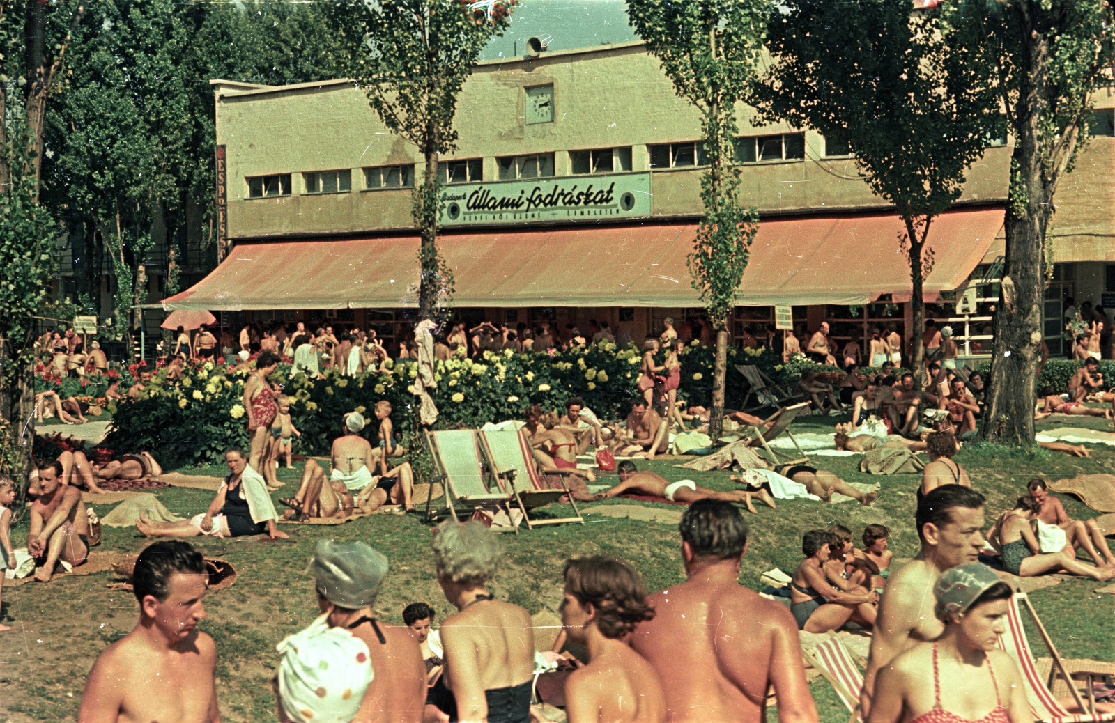 Magyarország, Margitsziget, Budapest, Palatinus Strandfürdő., 1953, Horváth Miklós dr, fürdőruha, színes, életkép, nyugágy, napellenző, virágágyás, fodrászat, Fortepan #129407