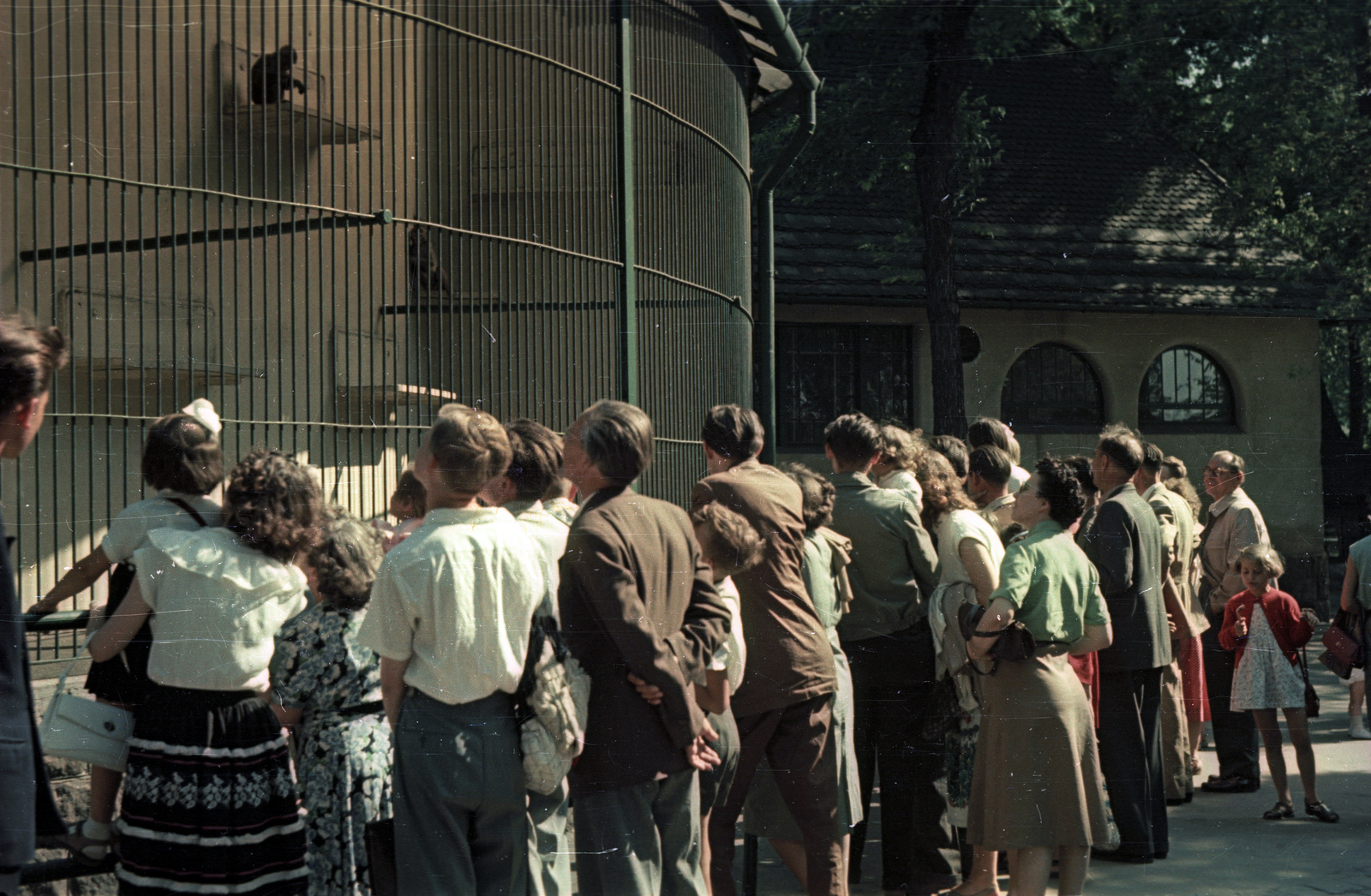 Hungary, Zoo, Budapest XIV., Majomház., 1958, Horváth Miklós dr, Budapest, colorful, visitors, Fortepan #129496