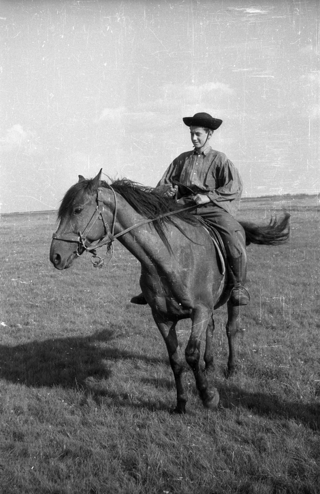1967, Hunyady József, wrangler, Fortepan #129590