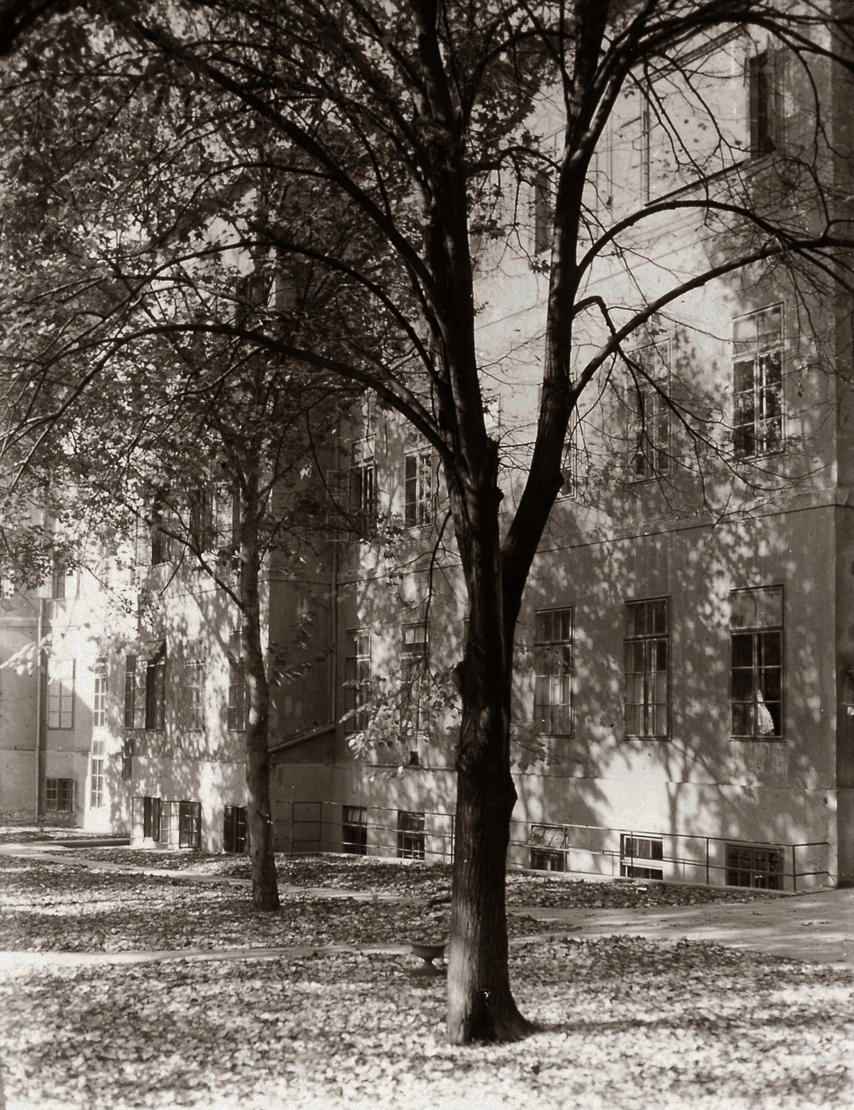 Hungary, Pécs, Rákóczi út 2., a Magyar Királyi Erzsébet Tudományegyetem Szemklinikájának és Belklinikájának (később Pécsi Tudományegyetem Klinikai Központ és Megyei Kórház) park felőli homlokzata., 1928, POTE, Fortepan #130202