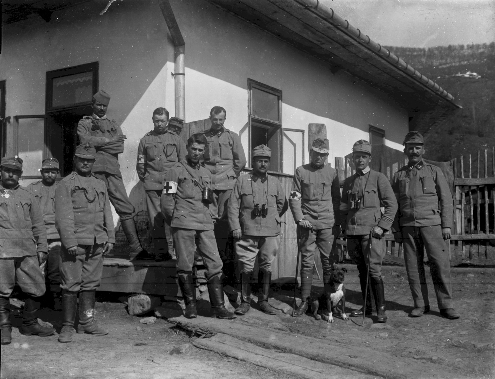 1916, Vertényi, First World War, dog, Fortepan #130457