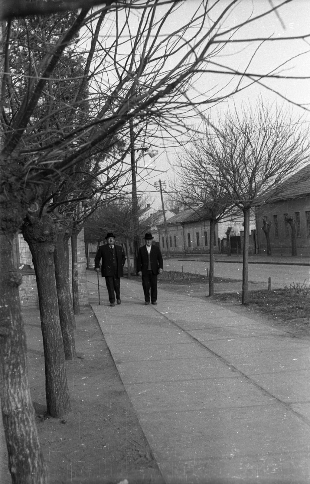 Hungary, 1971, Vizsnyiczai Erzsébet, Fortepan #130494