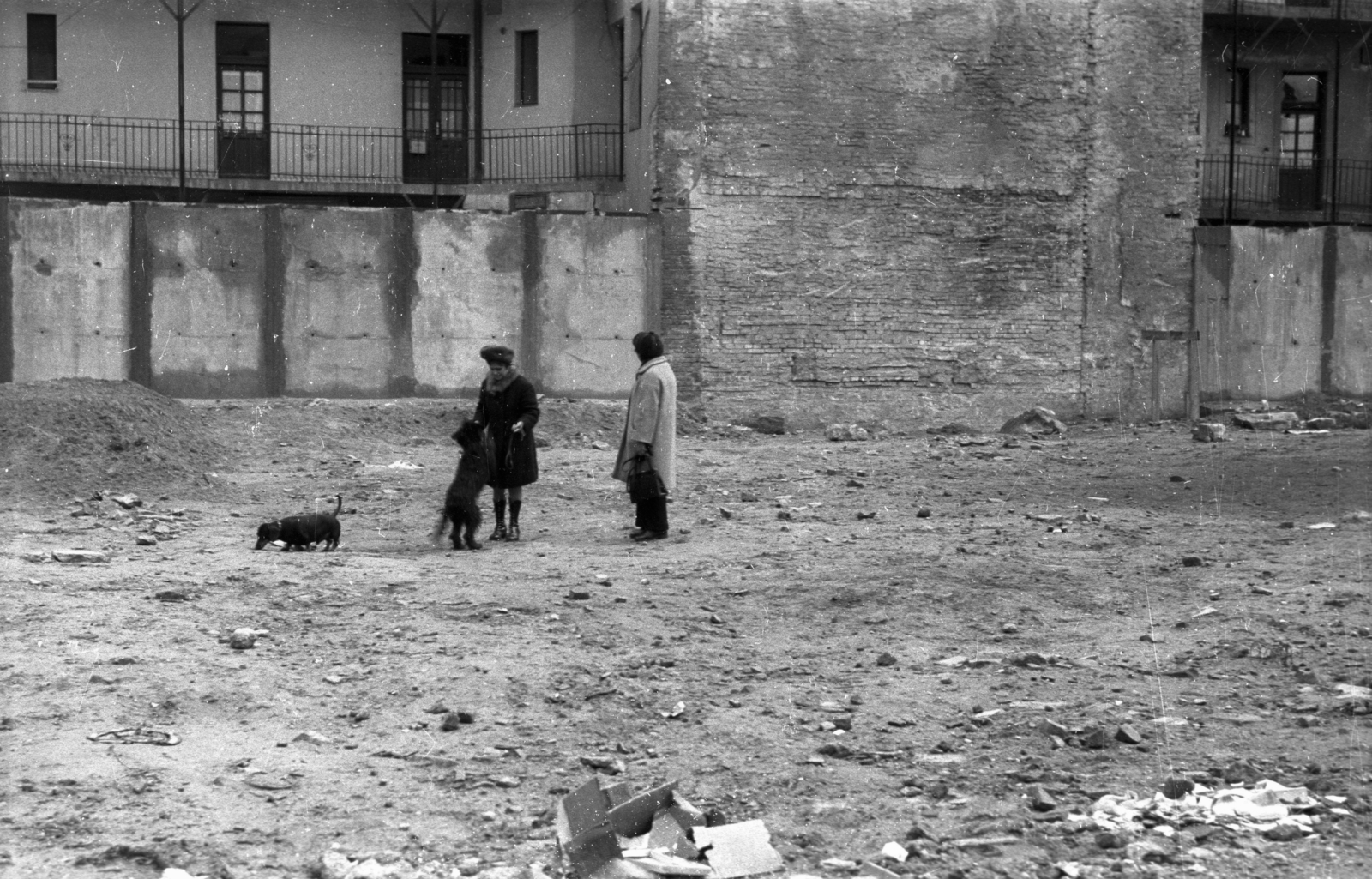 Magyarország, Budapest VIII., Molnár Ferenc tér 3. és a Lósy Imre utca 3. szám alatti lakóház hátsó homlokzata a Jázmin utca felől nézve., 1973, Vizsnyiczai Erzsébet, kutya, Budapest, kutyasétáltatás, Fortepan #130506