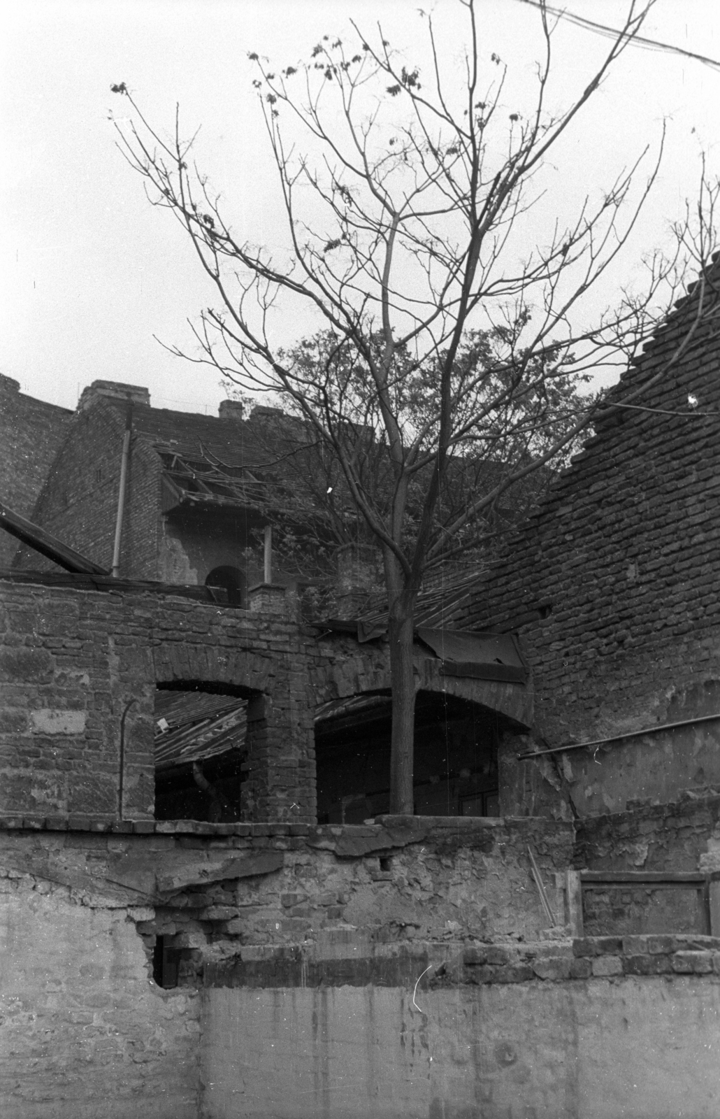 Magyarország, Budapest VIII., 1973, Vizsnyiczai Erzsébet, Budapest, Fortepan #130516