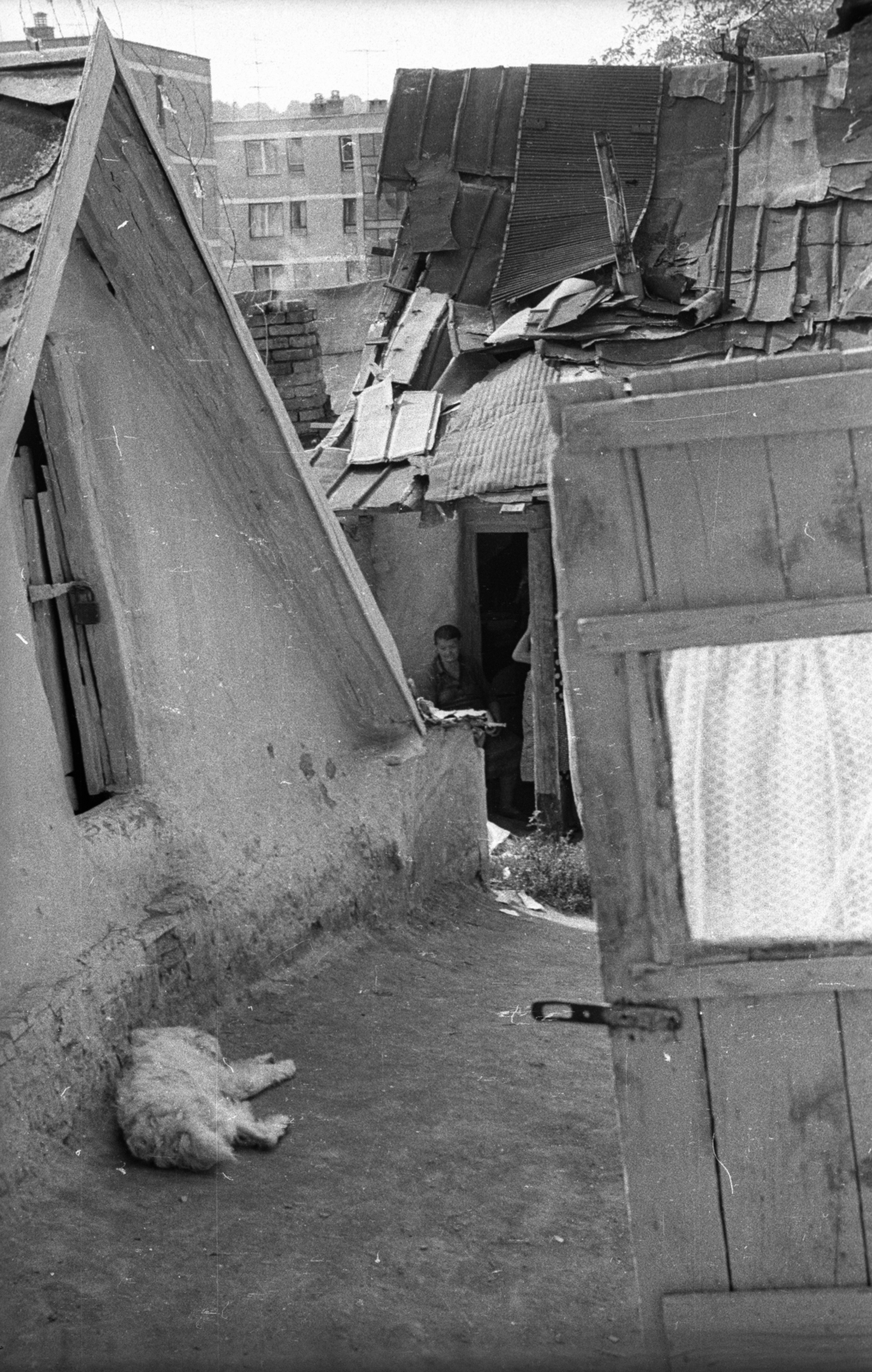 Magyarország, Salgótarján, Pécskő út, a pécskődombi (kopaszdombi) cigánytelep., 1974, Vizsnyiczai Erzsébet, cigányság, épület, nyomor, Fortepan #130633