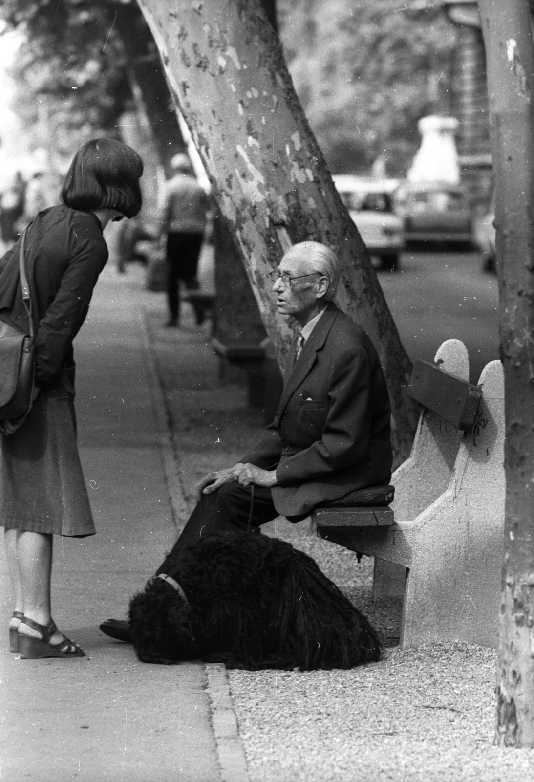 Hungary, Budapest VI., Andrássy út (Népköztársaság útja) a Kodály körönd felé nézve., 1975, Vizsnyiczai Erzsébet, Budapest, old person, platan tree, dog, bench, sandal, Fortepan #130663