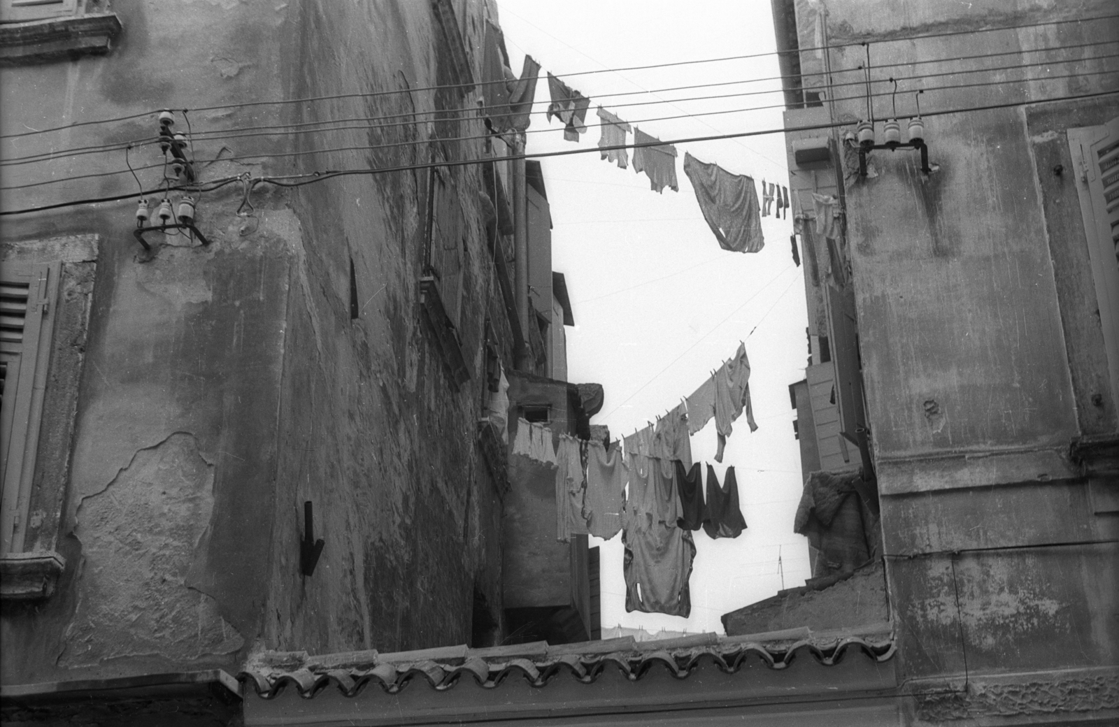 1977, Vizsnyiczai Erzsébet, clothes-horse, Fortepan #130720